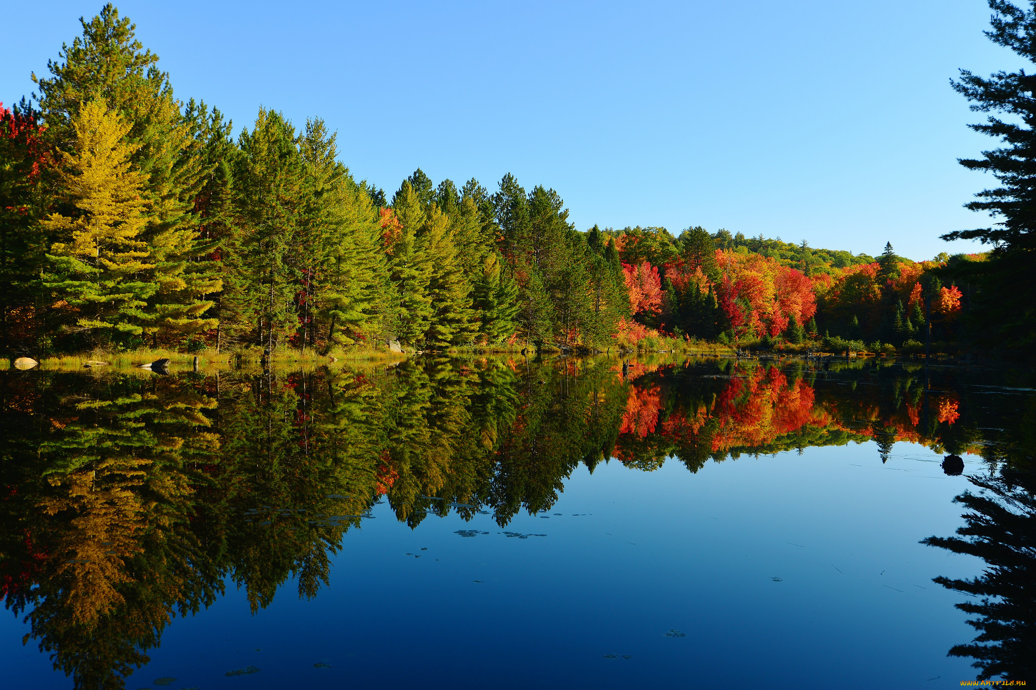 природа, реки, озера, лес, небо, осень, деревья, озеро
