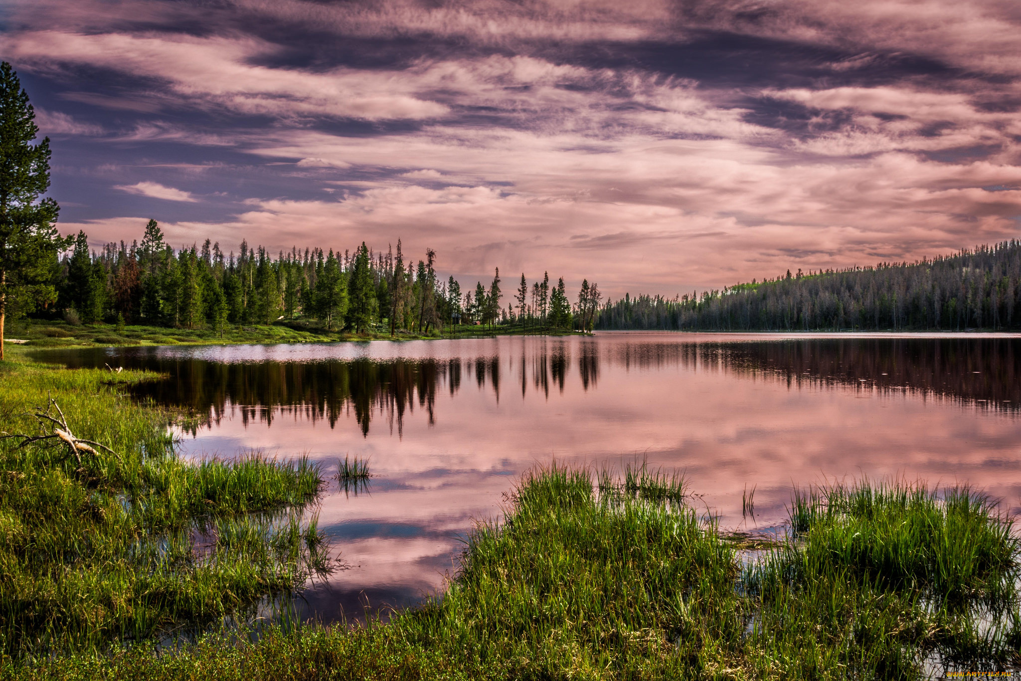 природа, реки, озера, тучи, озеро, лес