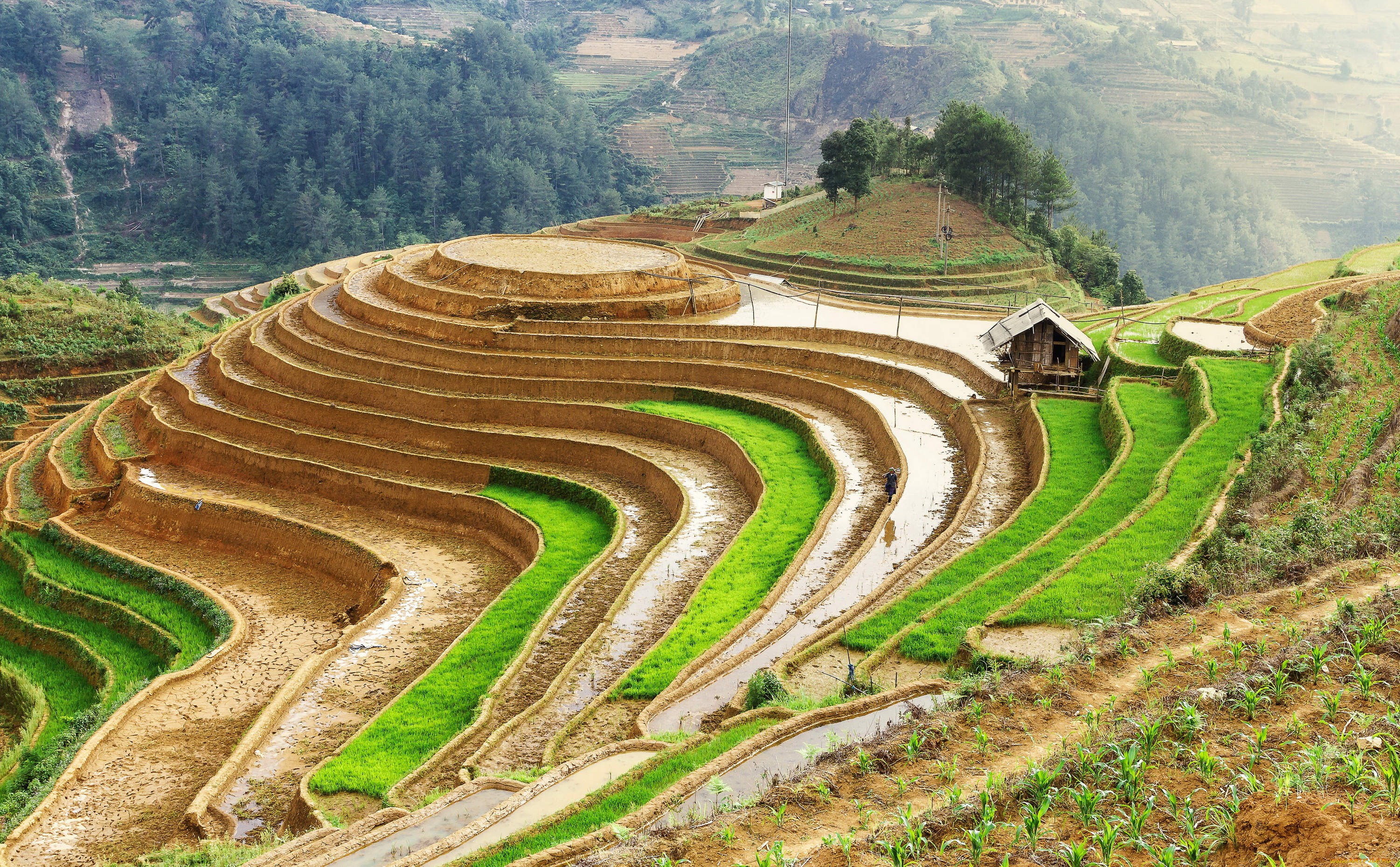 природа, поля, пейзаж