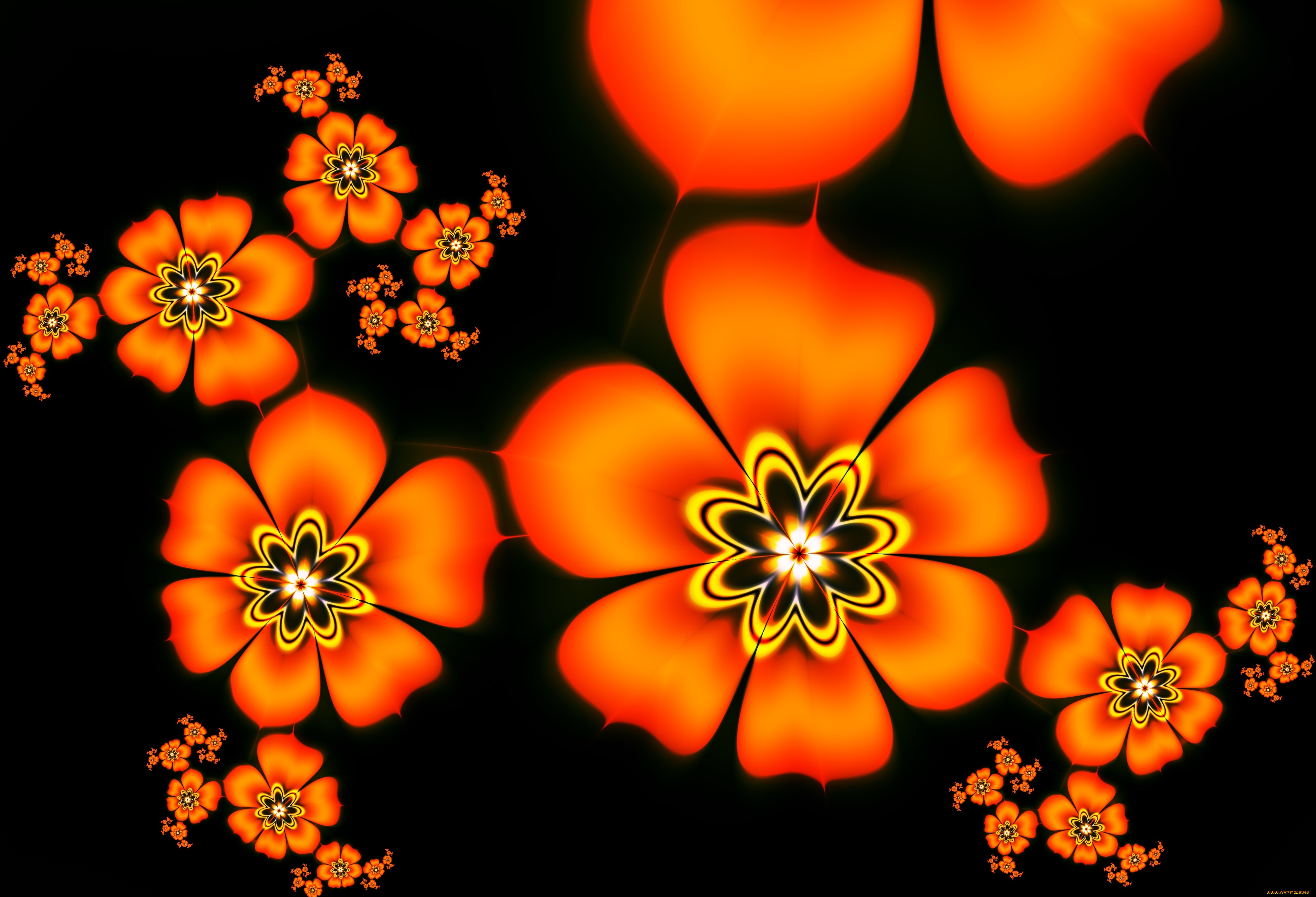 3д, графика, фракталы, , fractal, лепестки, цвета, фон, узор