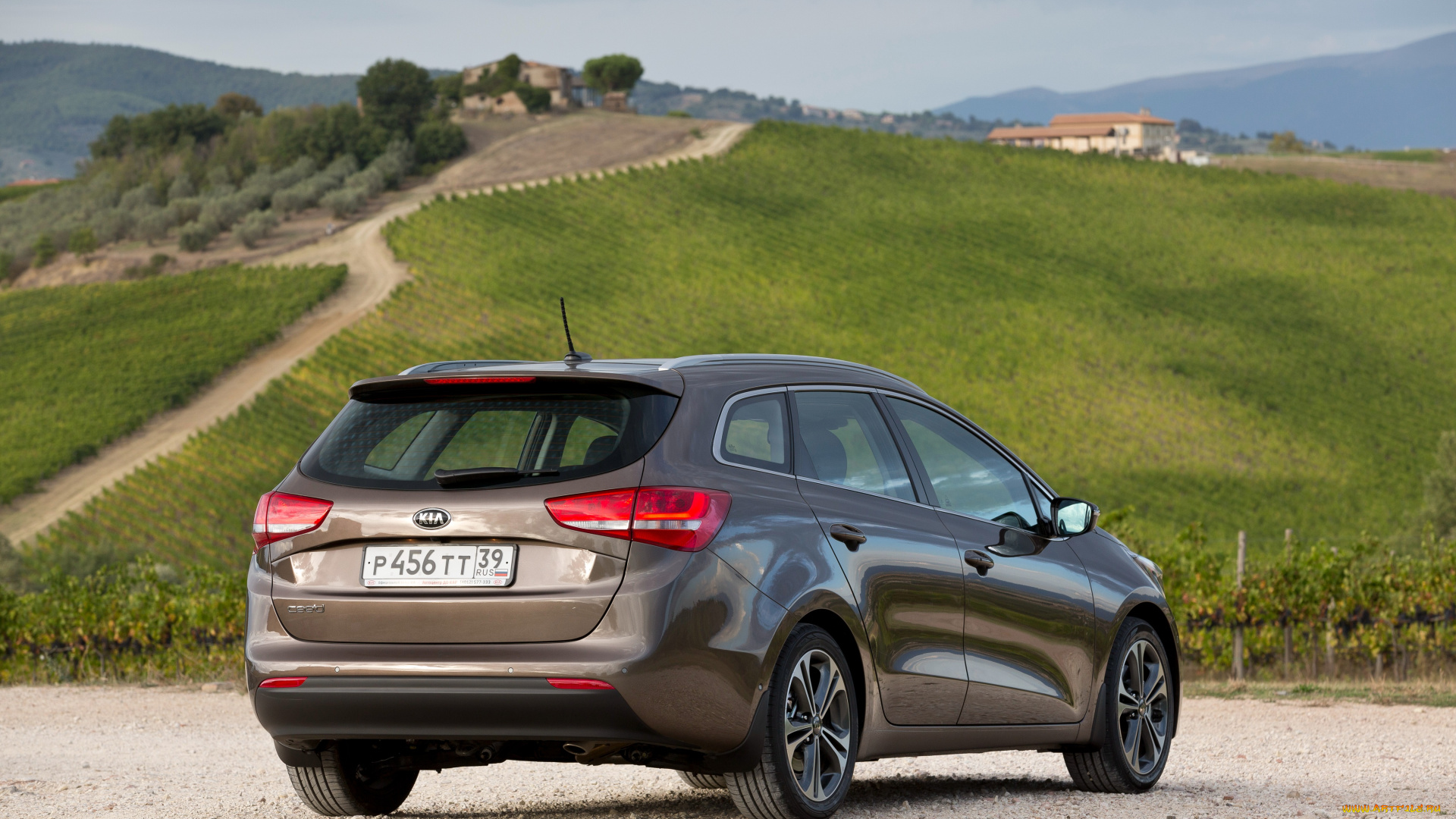 автомобили, kia, 2015г, jd, sw, ceed