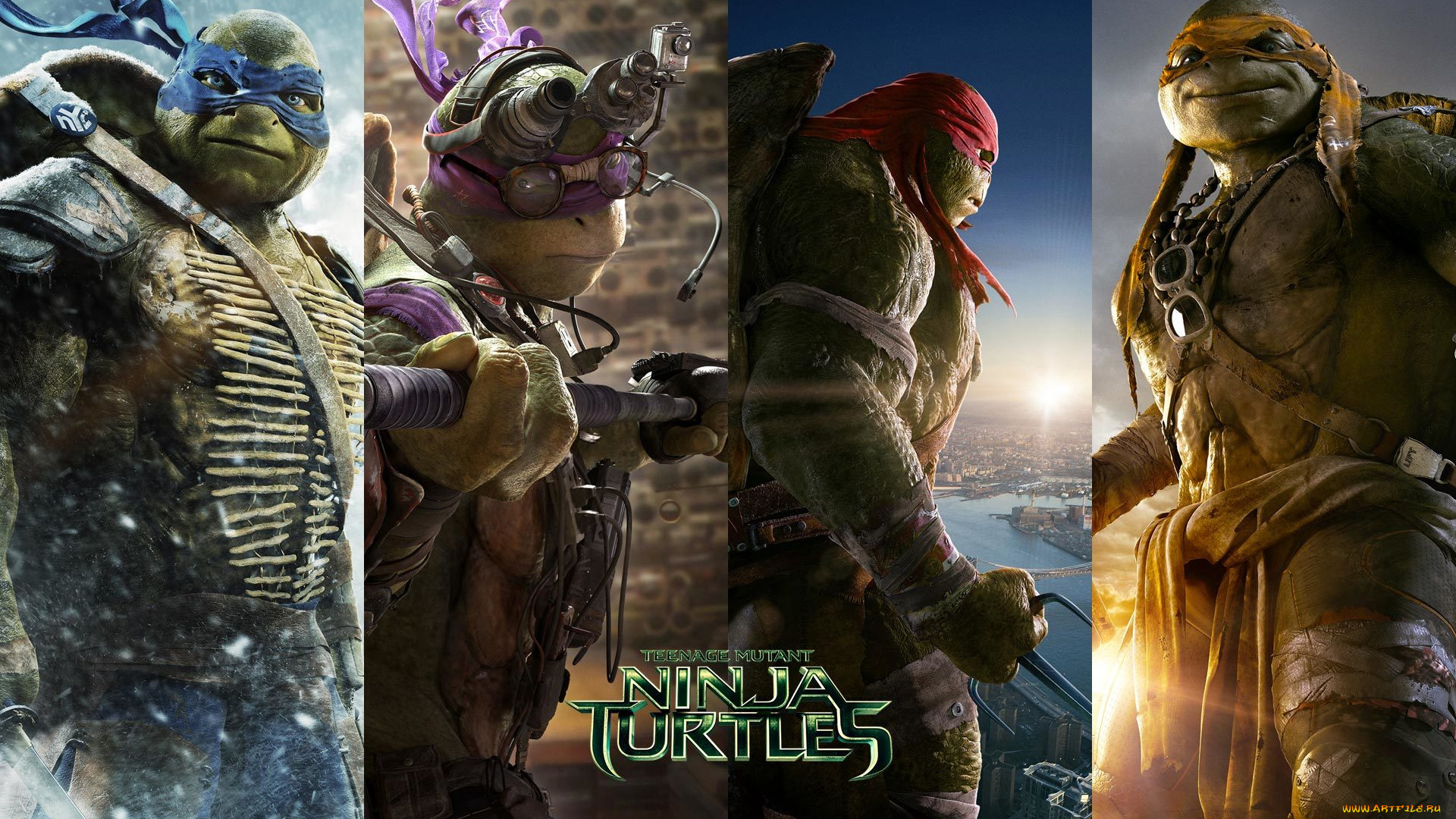 мультфильмы, tmnt, donatello, leonardo, michelangelo, raphael, донателло, леонардо, рафаель, микеланджело