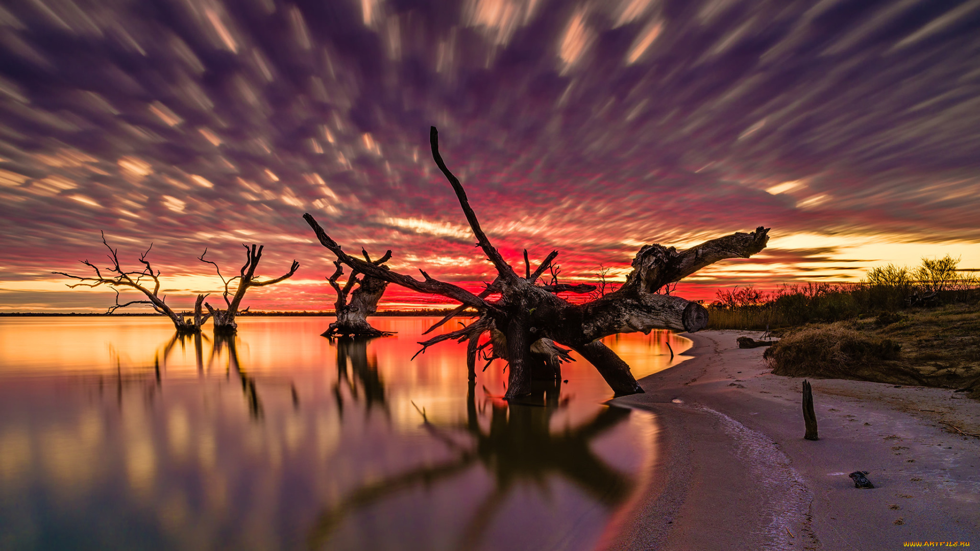 природа, восходы, закаты, деревья, озеро, закат