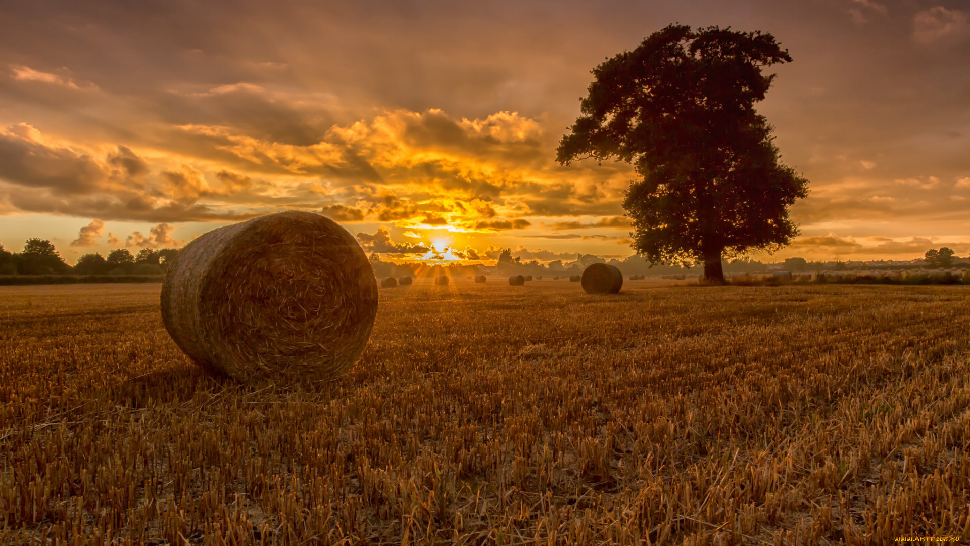 природа, восходы, закаты, сено, закат, поле