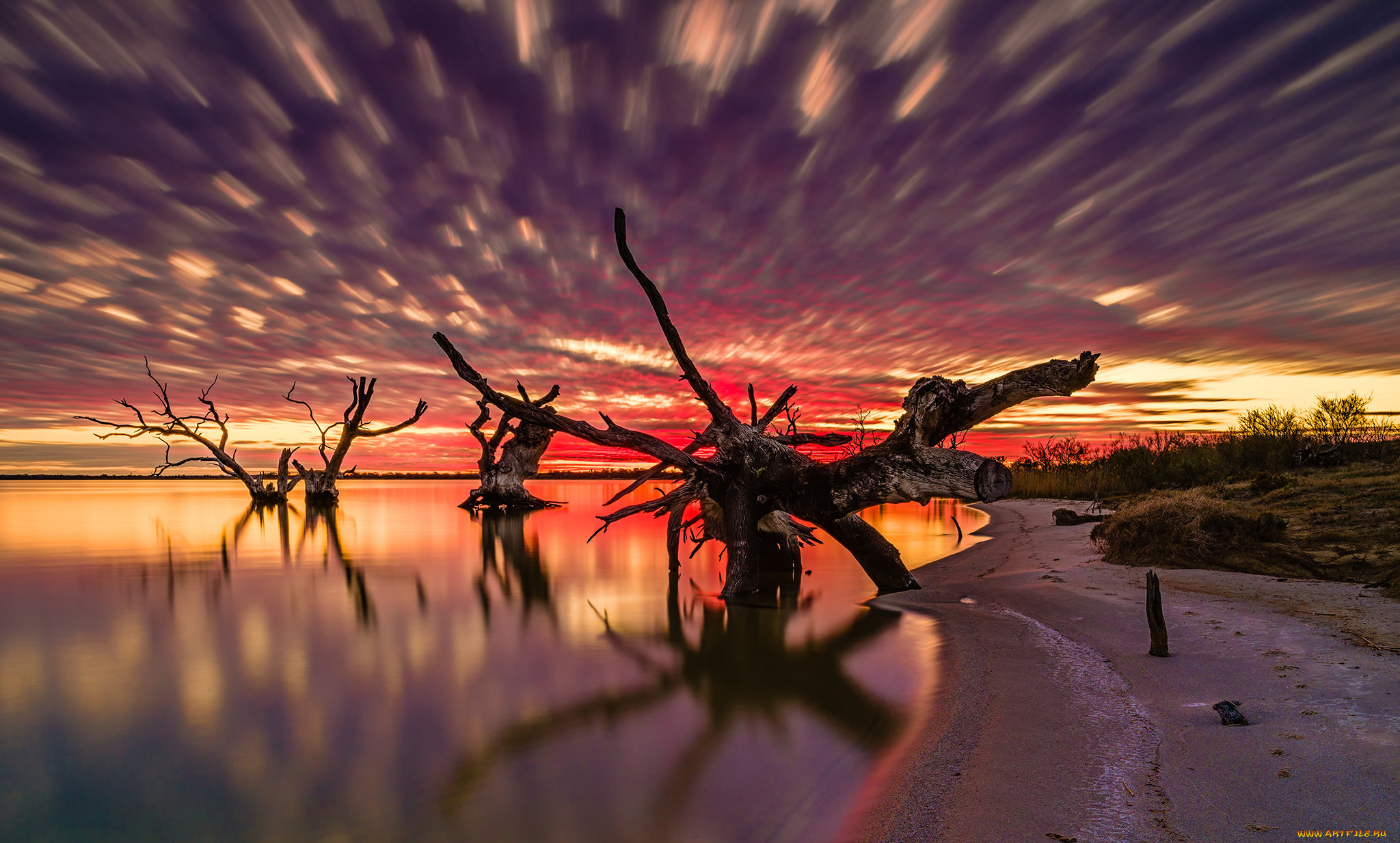 природа, восходы, закаты, деревья, озеро, закат