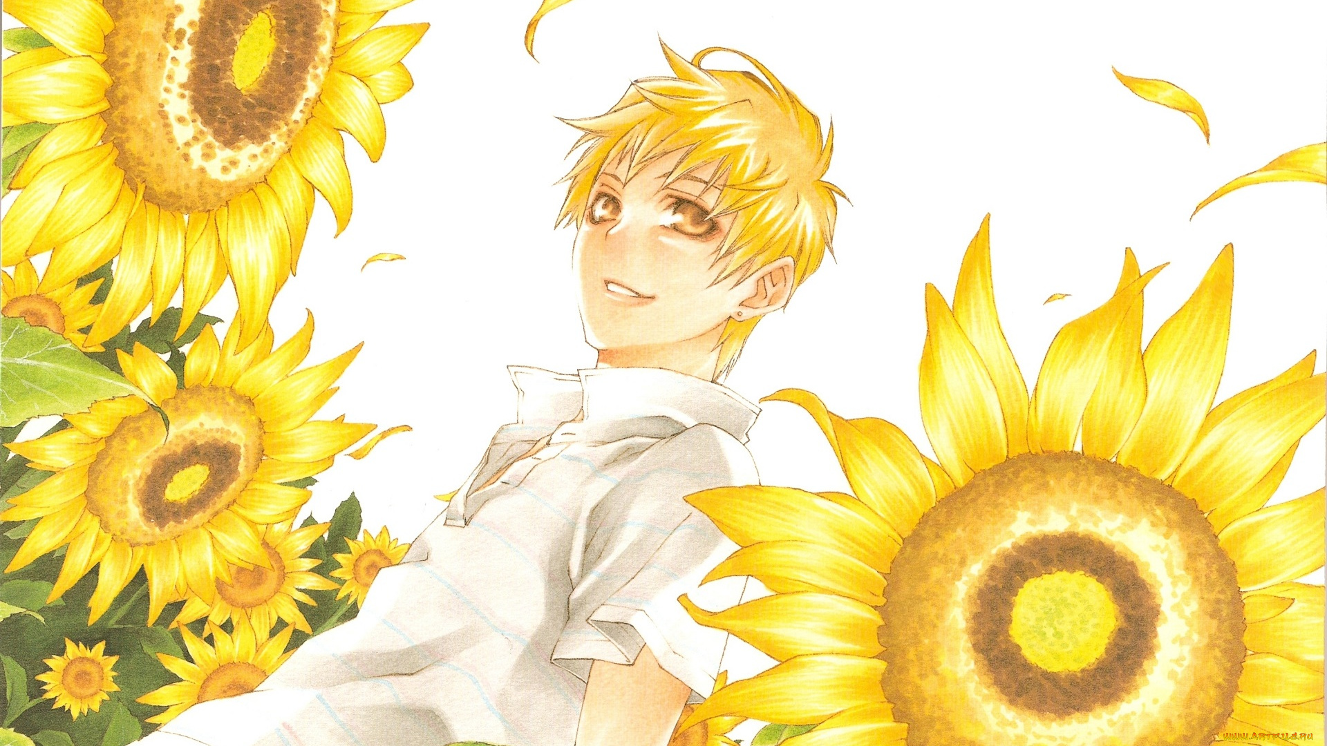 аниме, monochrome, factor, asamura, kengo