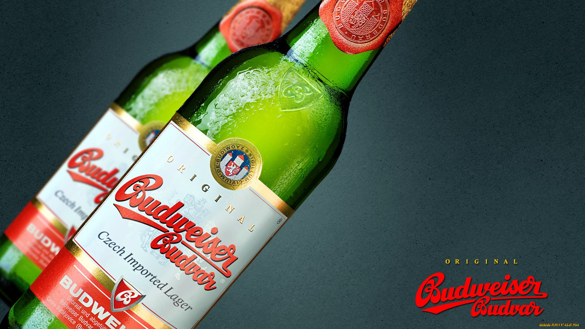 бренды, budweiser, пиво