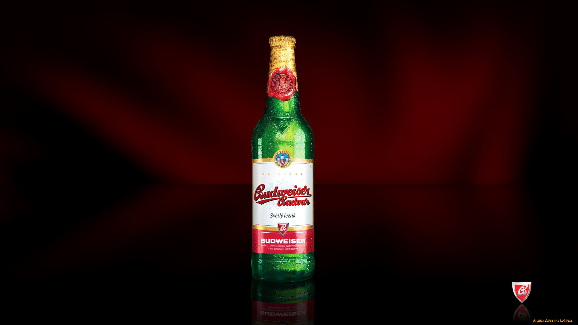 бренды, budweiser, пиво