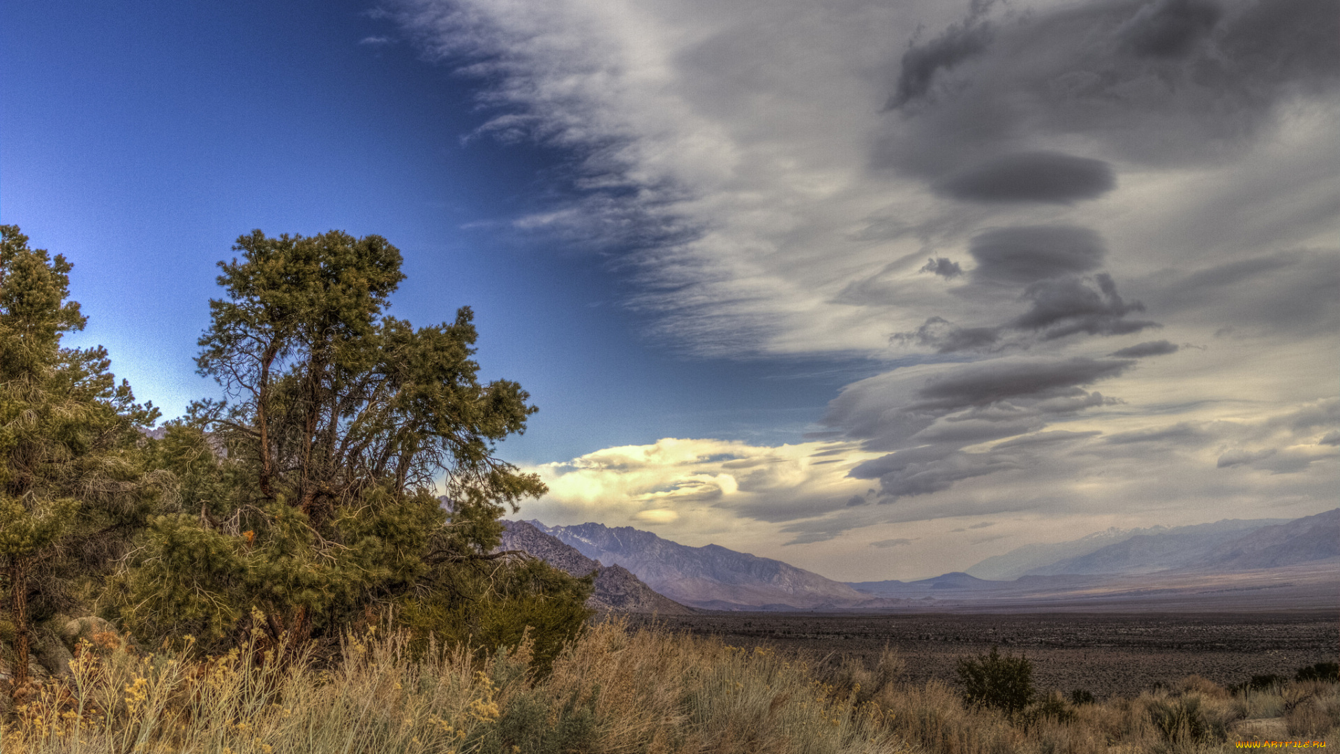 природа, пейзажи, простор