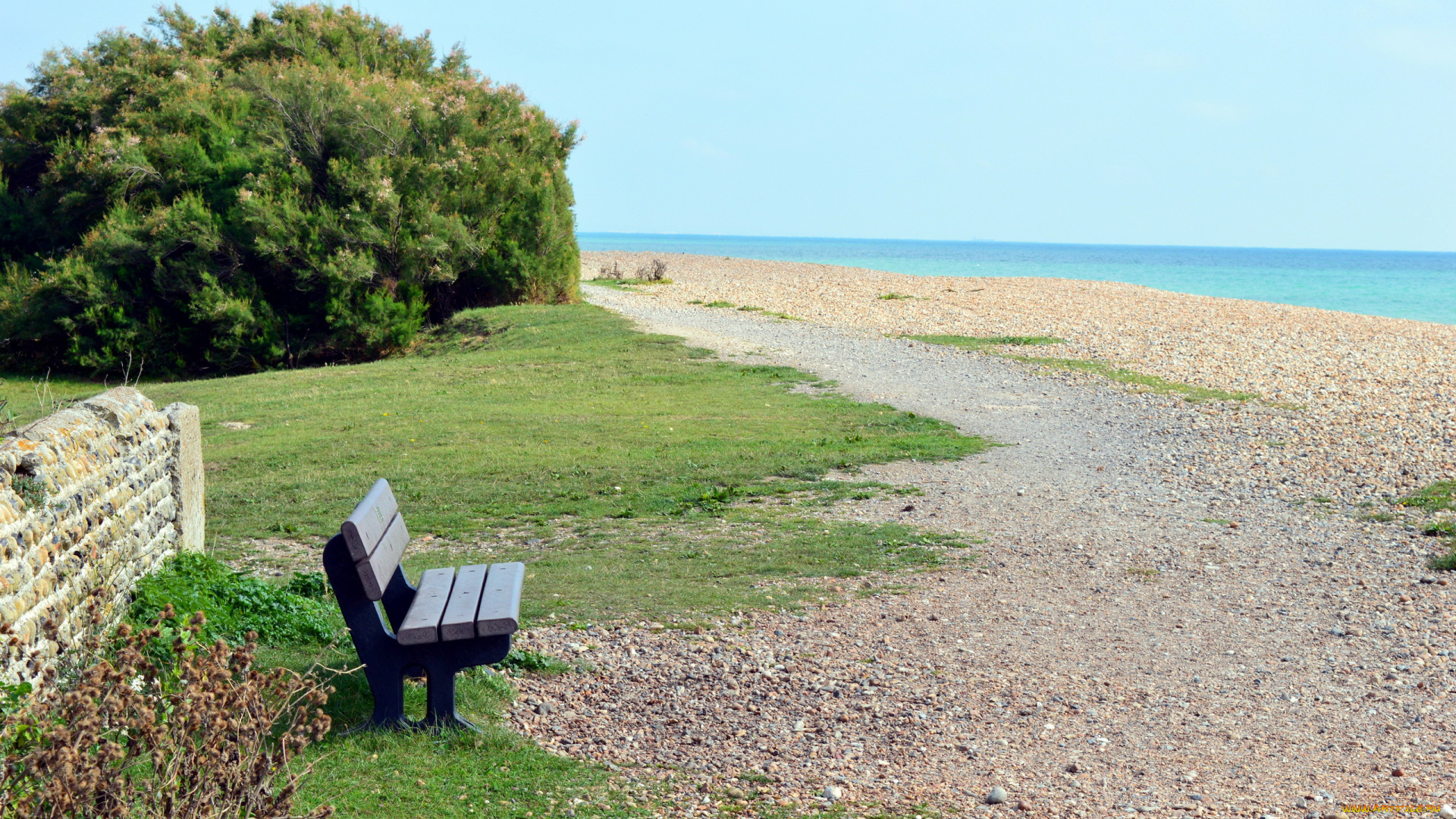 природа, побережье, море, берег, кусты, скамейка