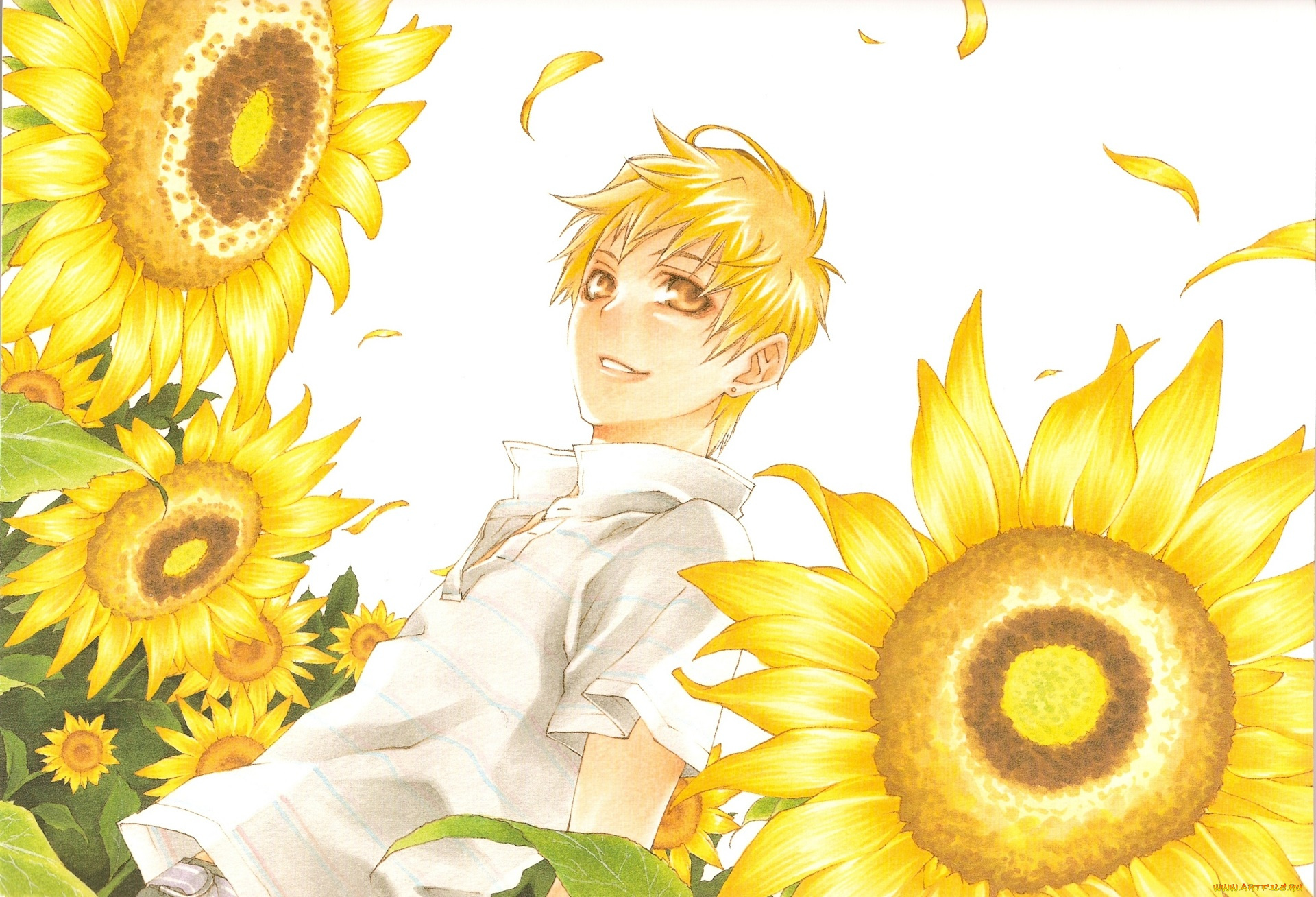 аниме, monochrome, factor, asamura, kengo