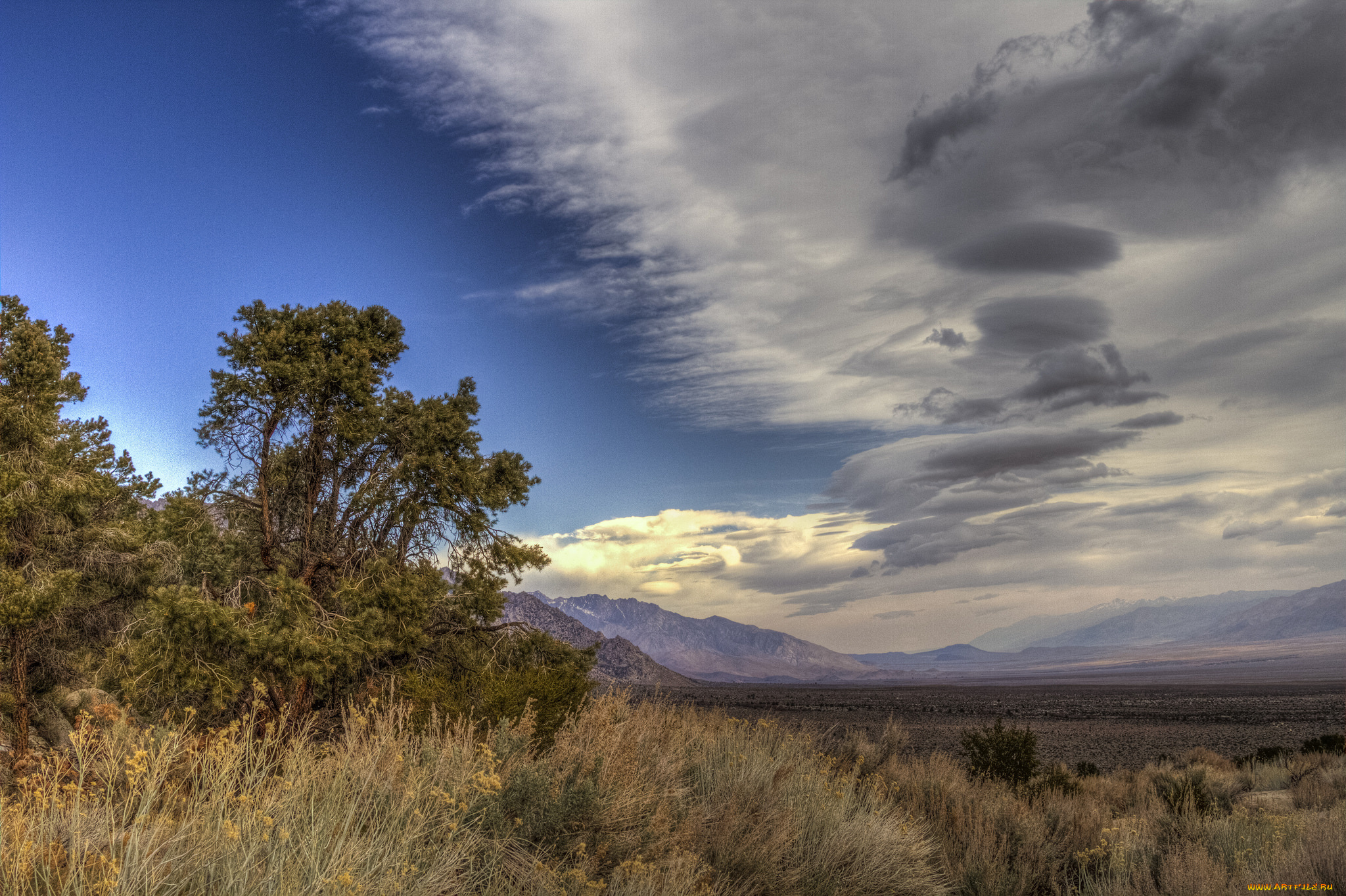 природа, пейзажи, простор
