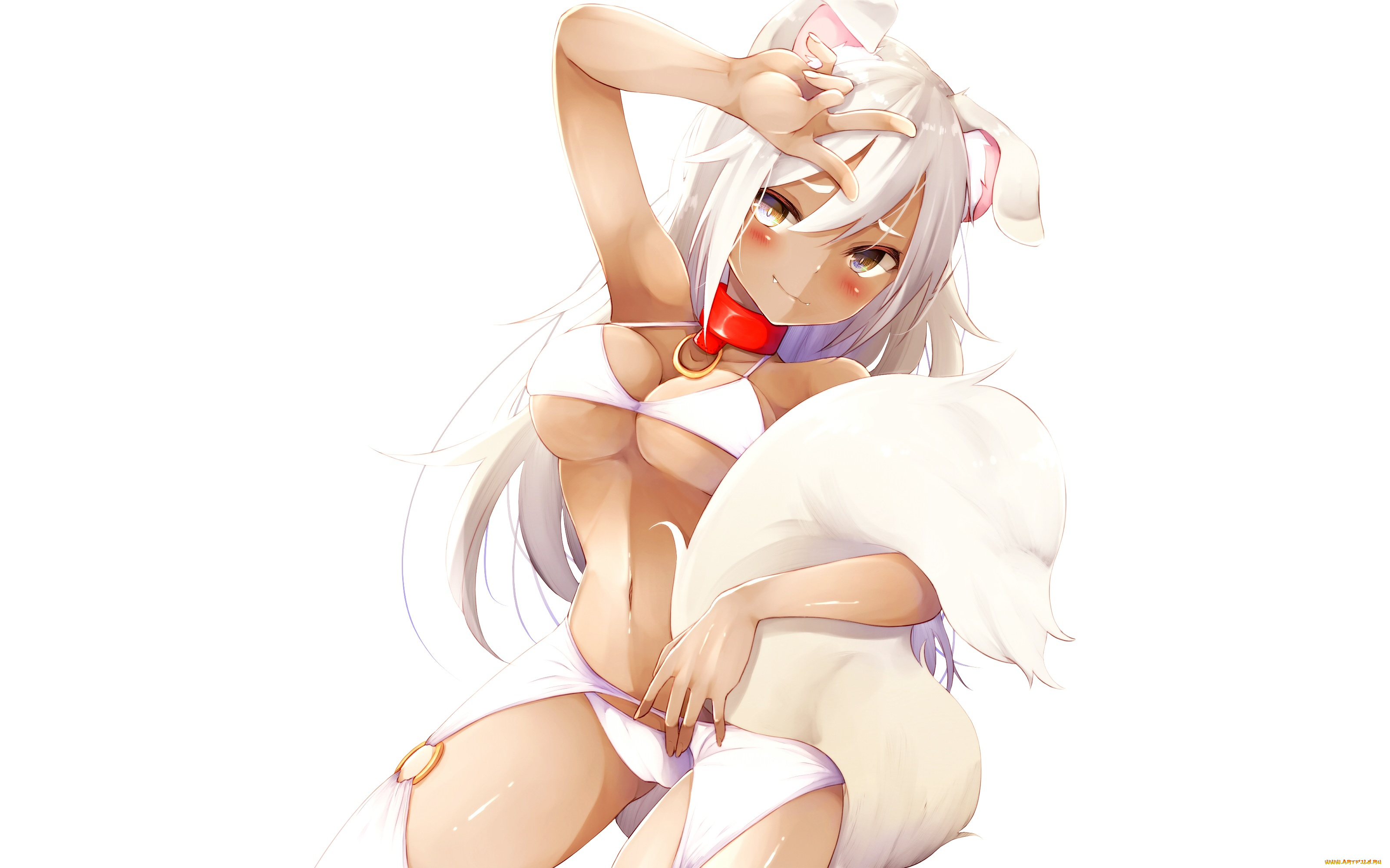 аниме, животные, , существа, девушка