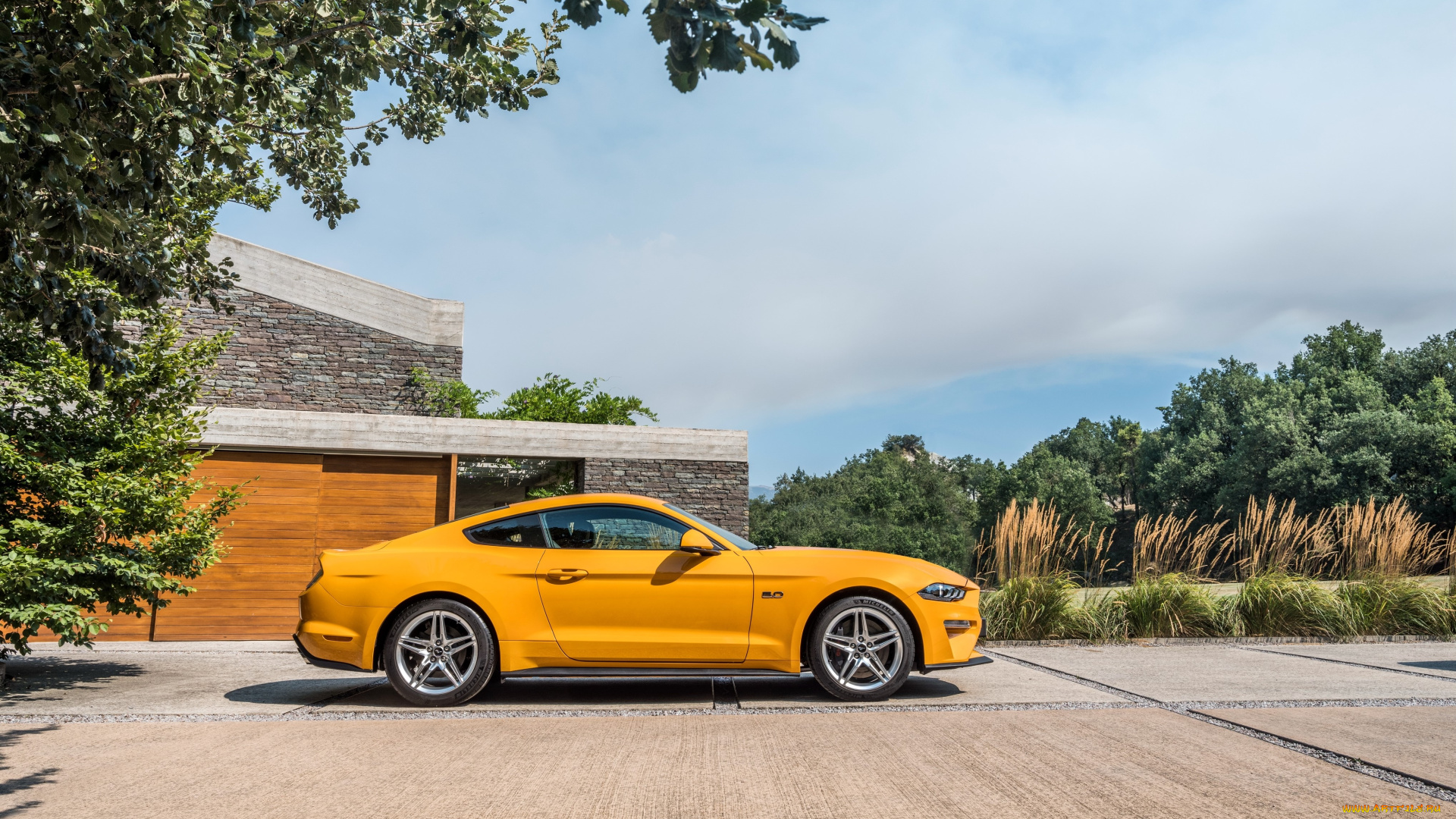 автомобили, mustang, ford