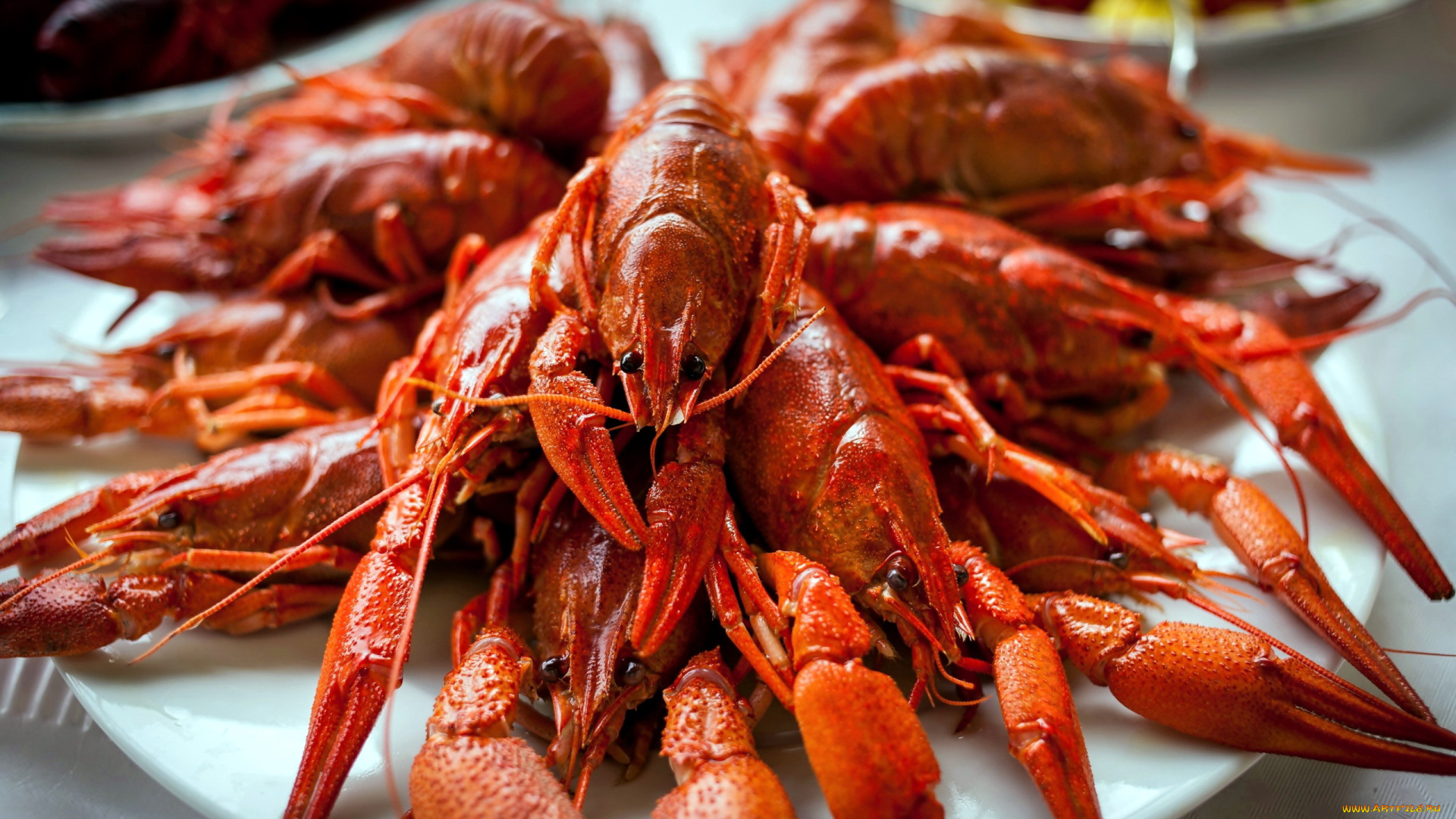 еда, рыба, , морепродукты, , суши, , роллы, раки