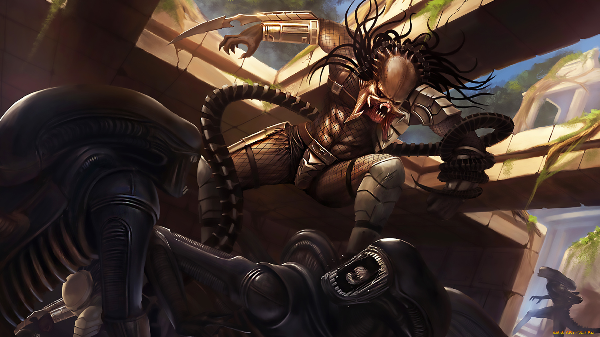 фэнтези, ангелы, атака, хищник, чужой