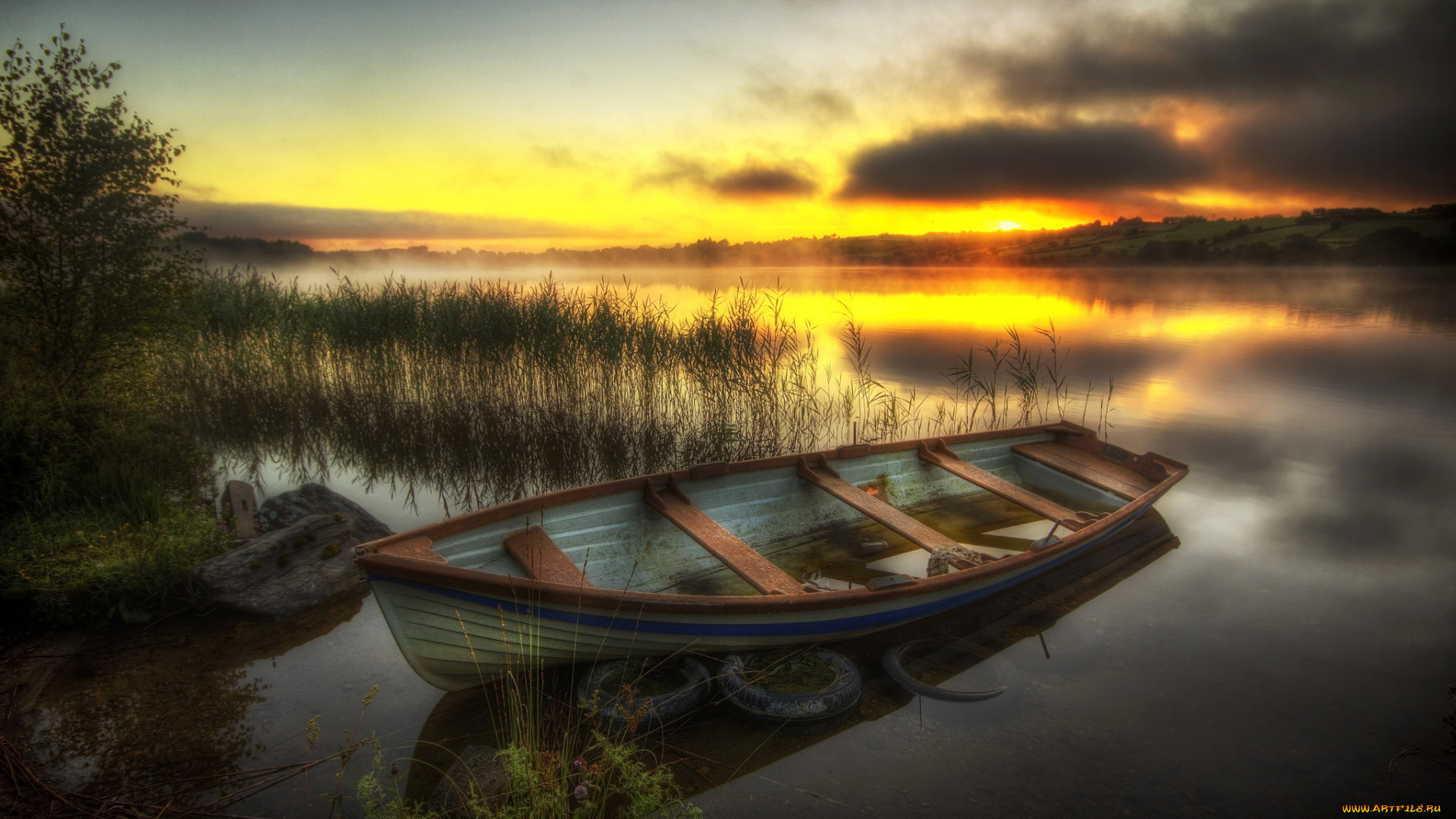 корабли, лодки, , шлюпки, лес, река