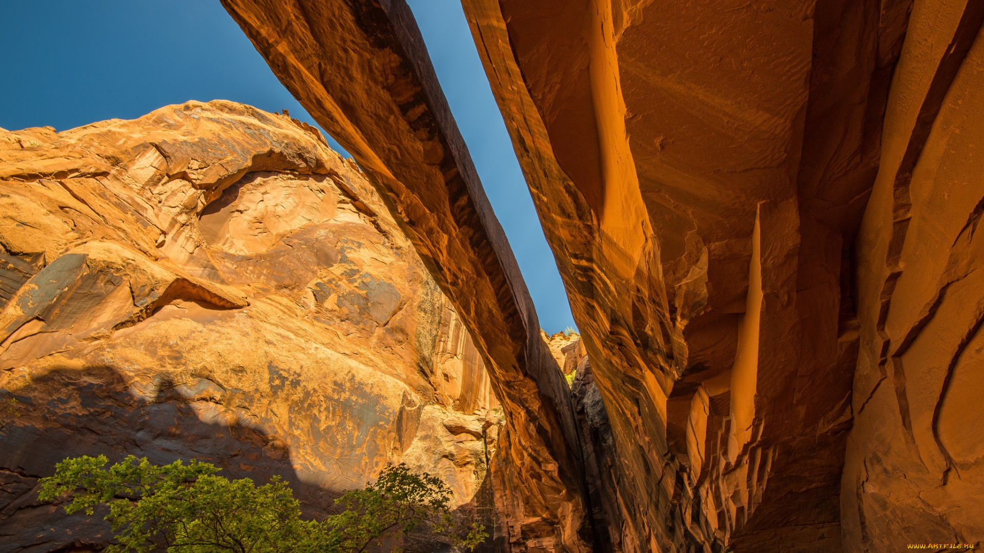 природа, горы