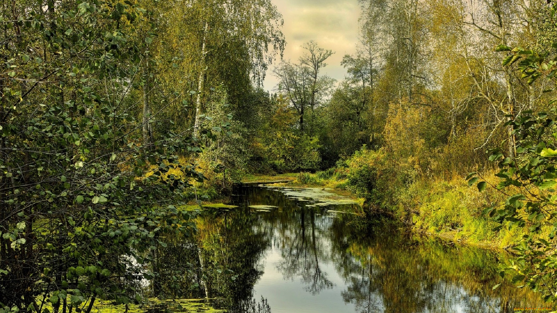 природа, реки, озера, бусыгин, борис, осень, зауралье, река, отражение