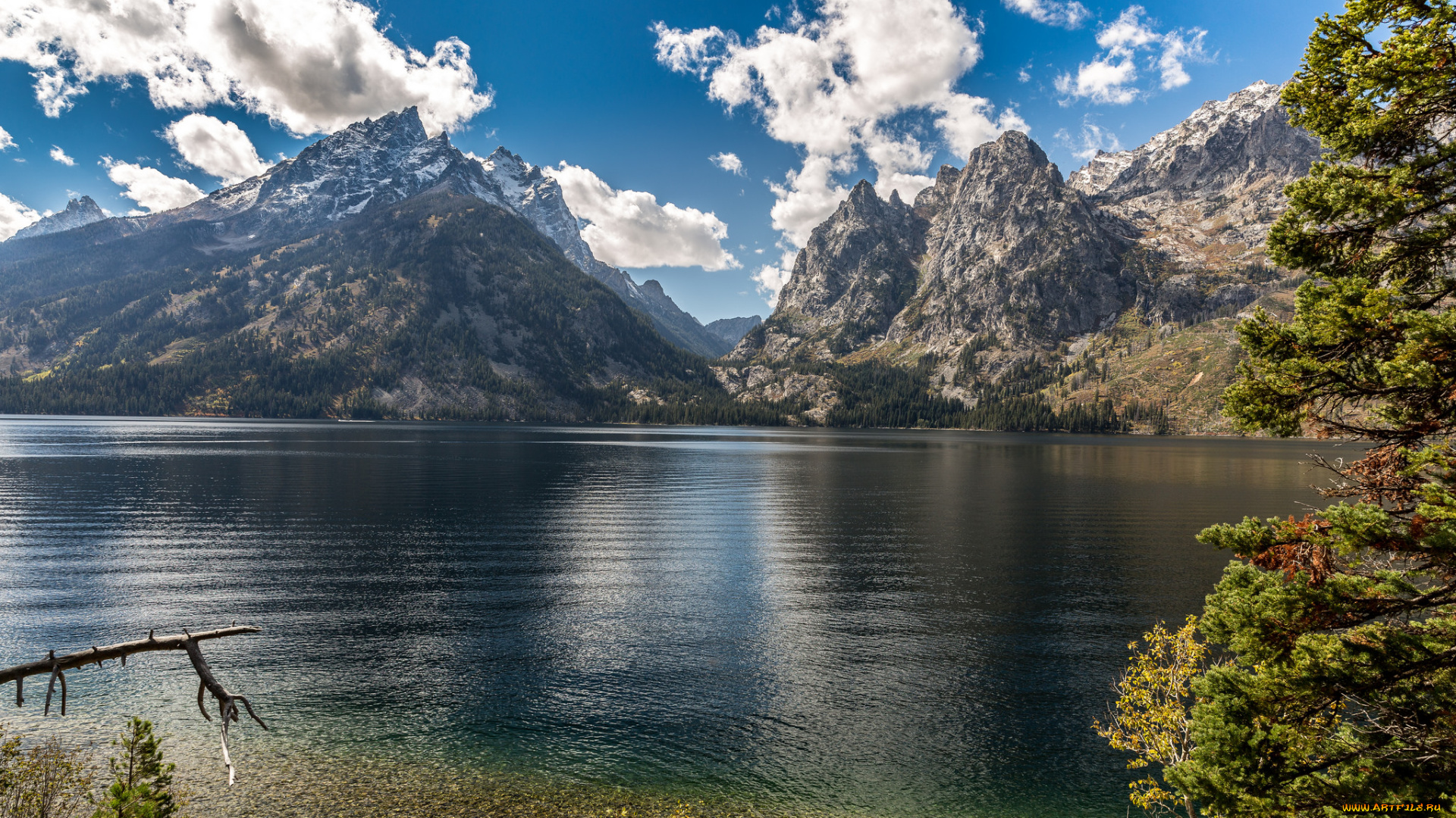 природа, реки, озера, лес, река