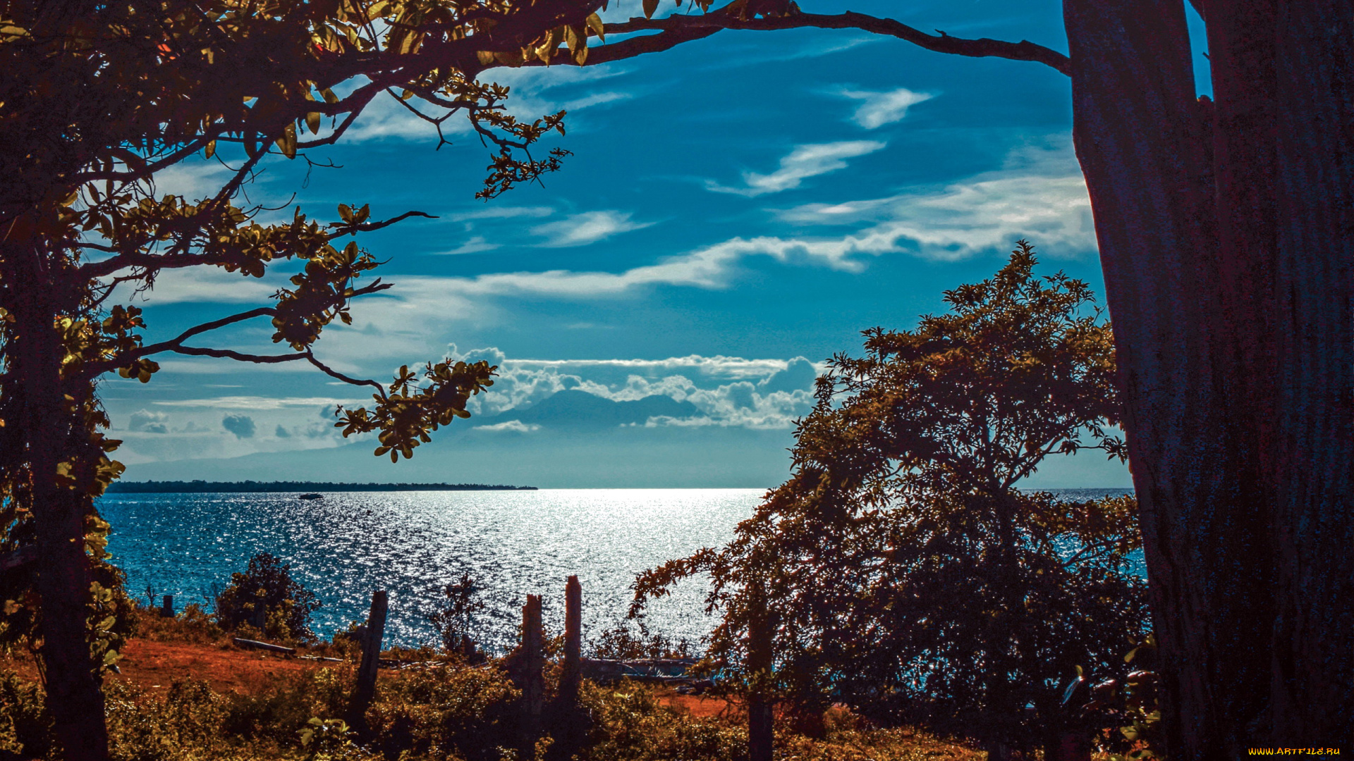 природа, реки, озера, лето, река, деревья