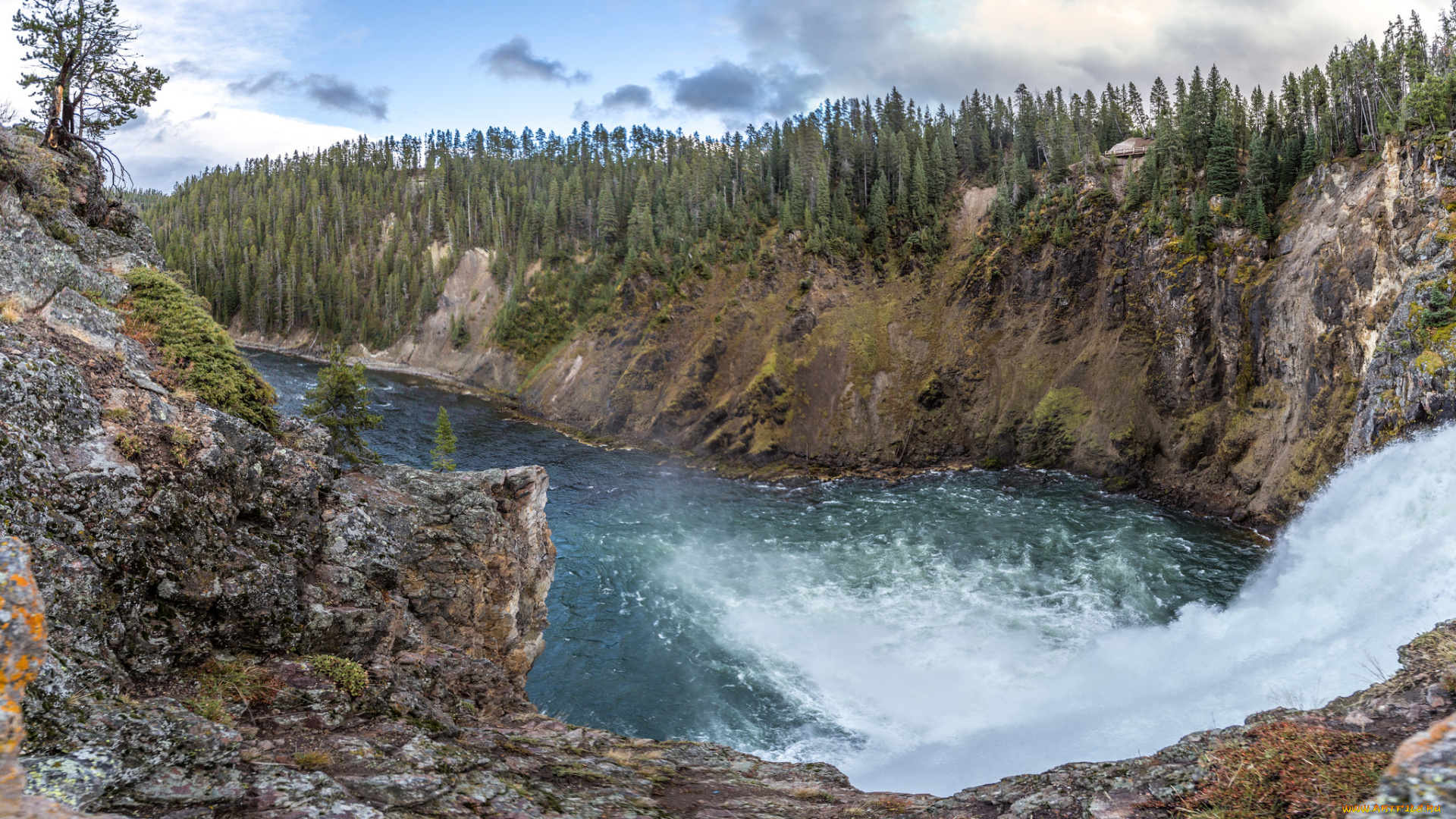 природа, реки, озера, река, лес