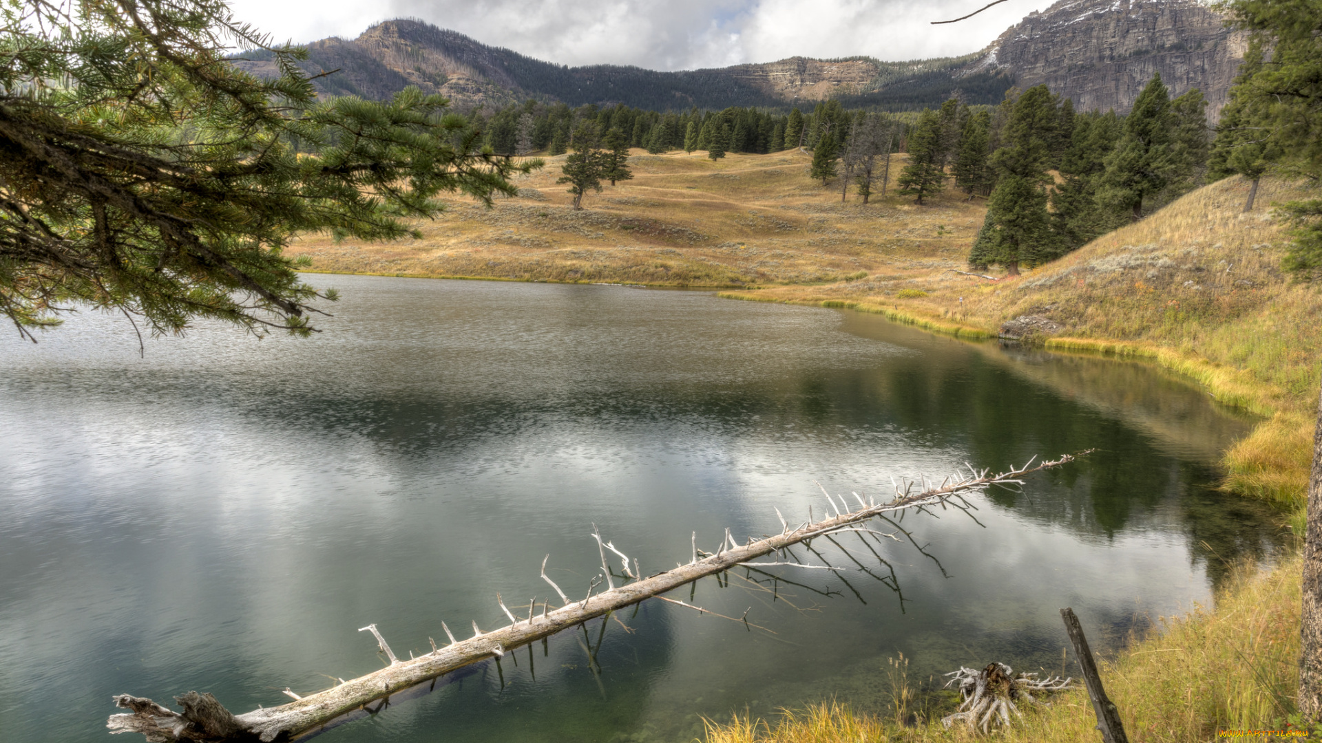 природа, реки, озера, река, лес