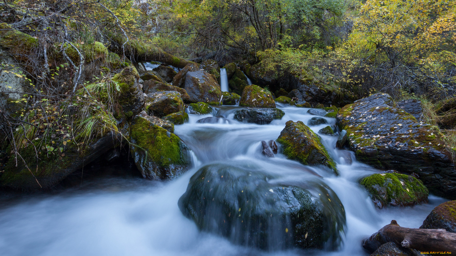 природа, реки, озера, скалы, лес, бурная, река, водопад