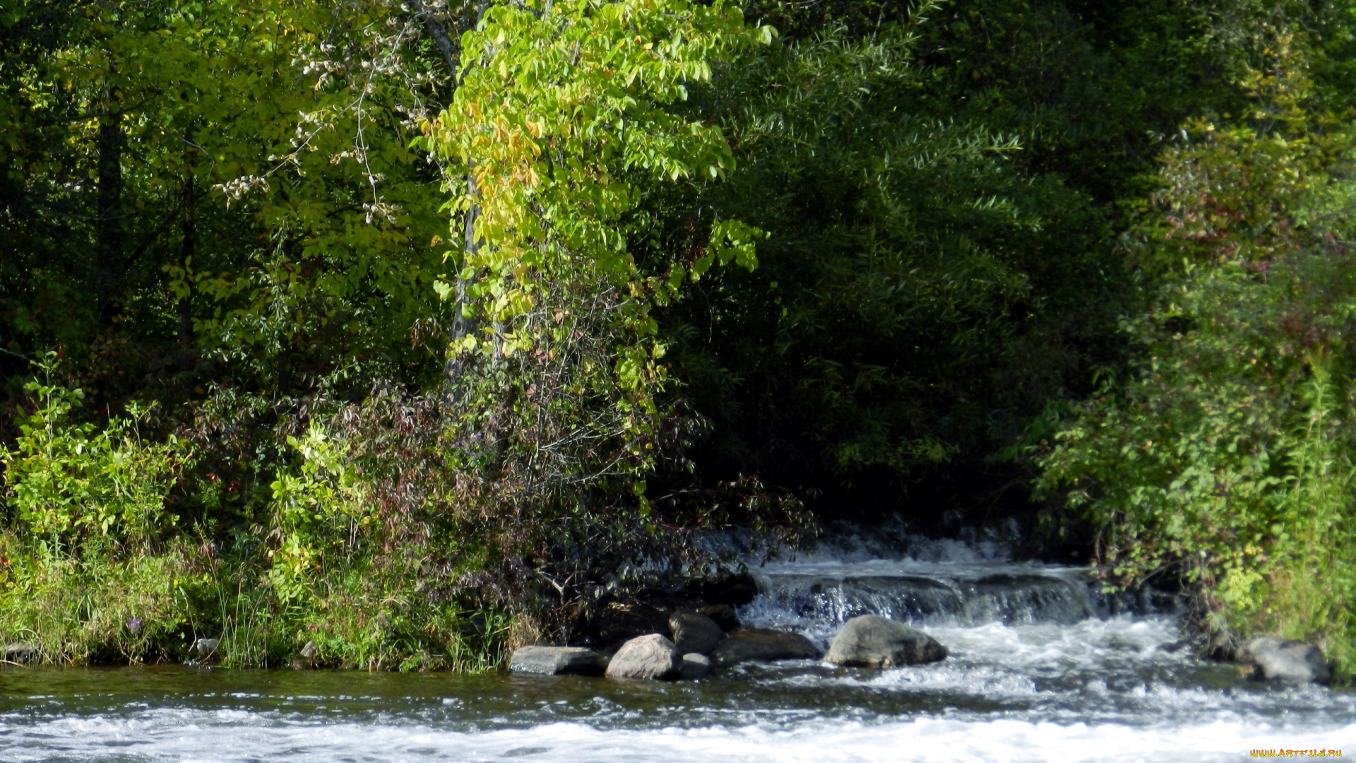 природа, реки, озера, вода, камни