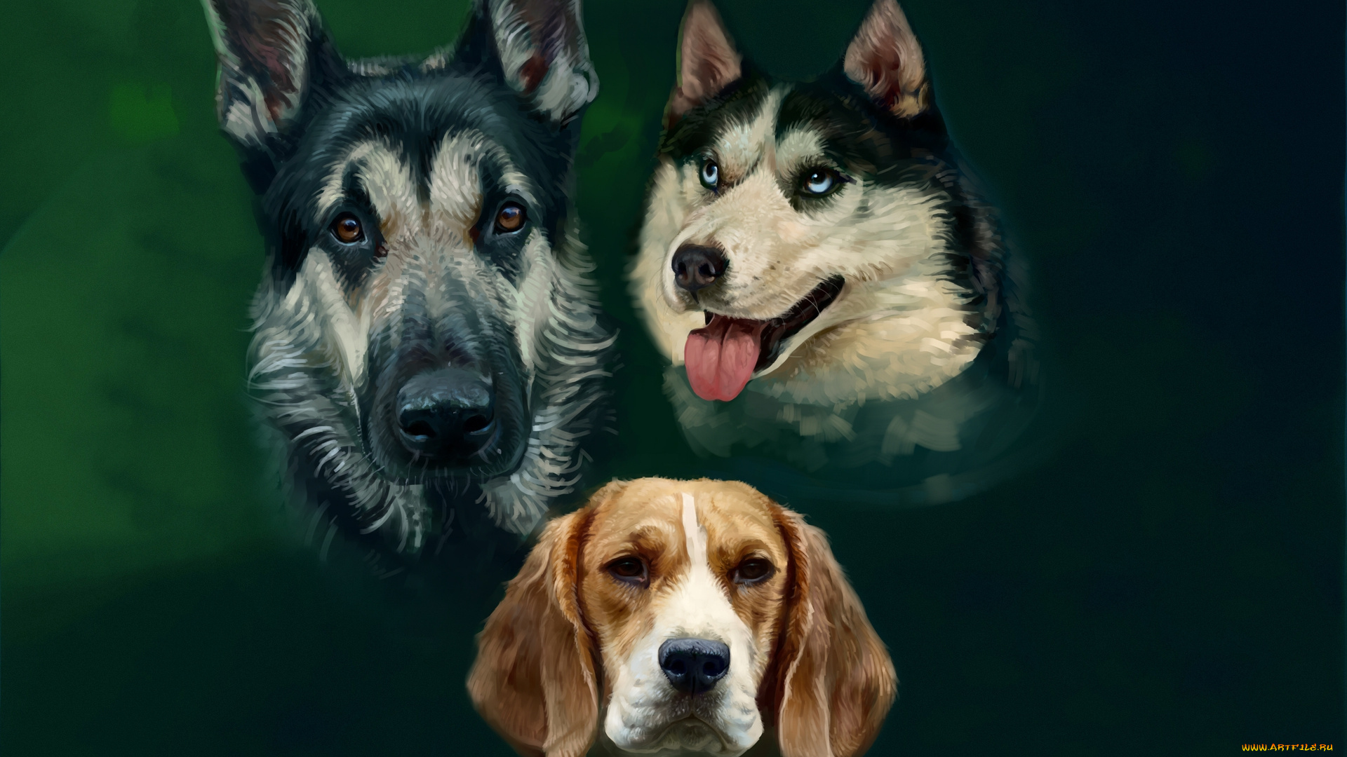 рисованное, животные, , собаки, трое, взгляд