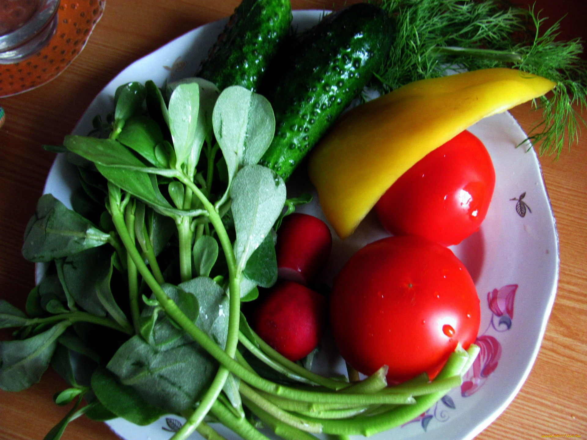 еда, овощи, салат, перец, укроп, огурец, редис, помидор