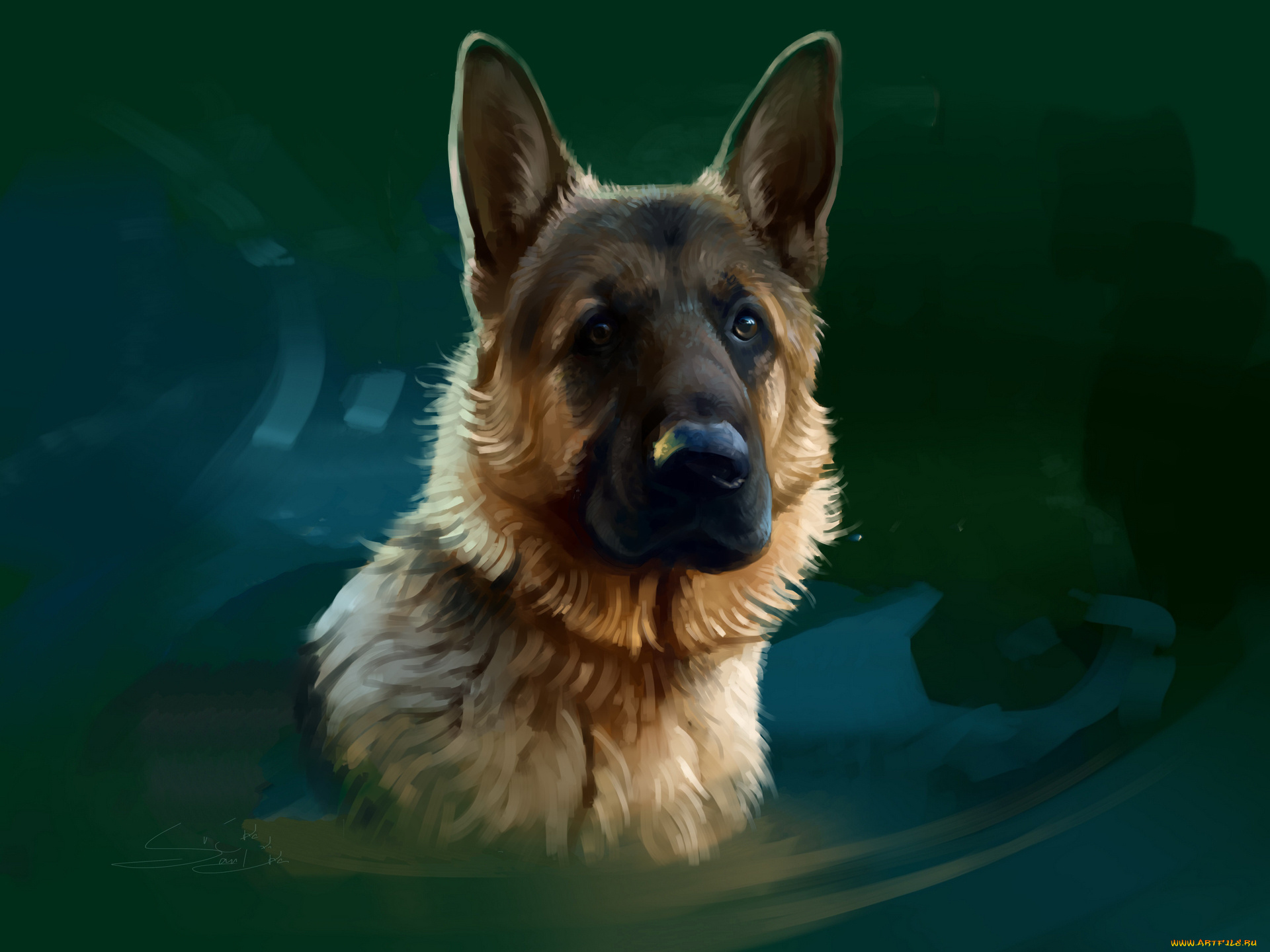 рисованное, животные, , собаки, морда