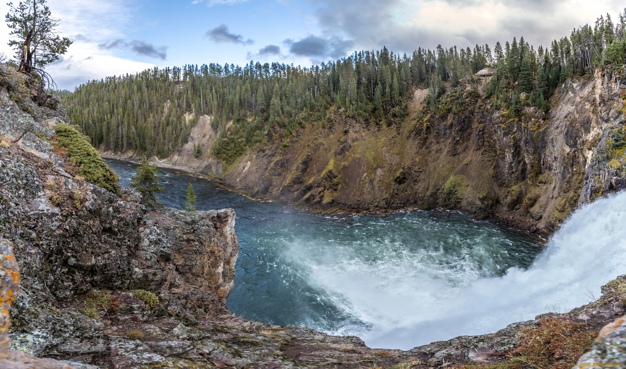 природа, реки, озера, река, лес