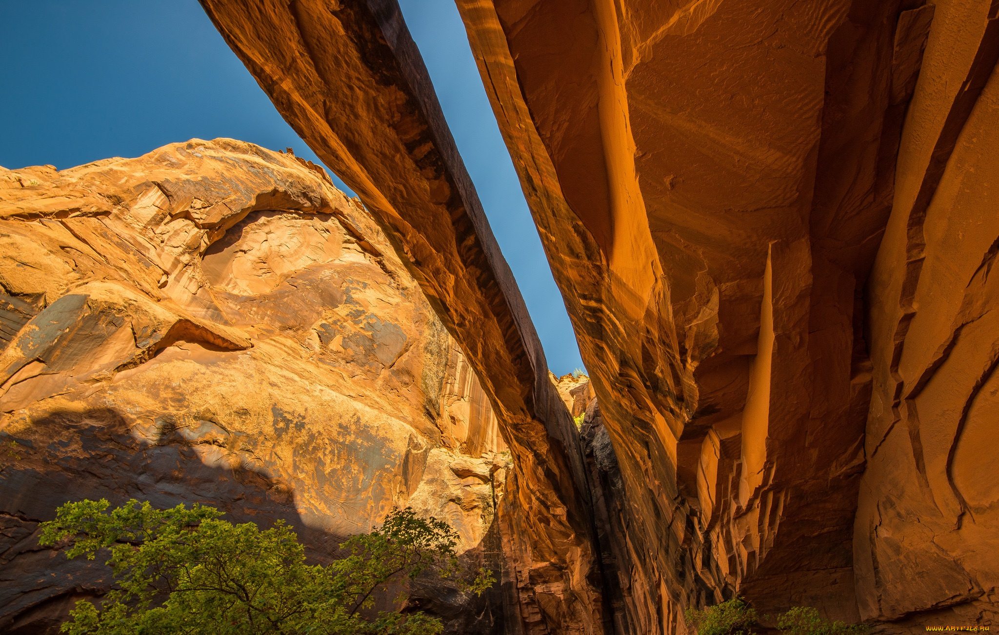 природа, горы