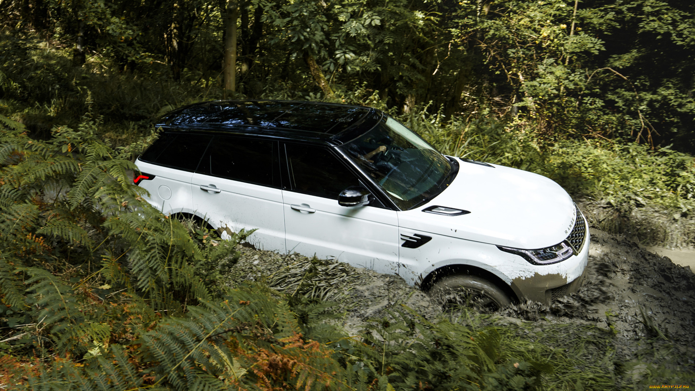 range, rover, sport, plug, in, hybrid, 2018, автомобили, range, rover, plug, sport, range, rover, 2018, hybrid