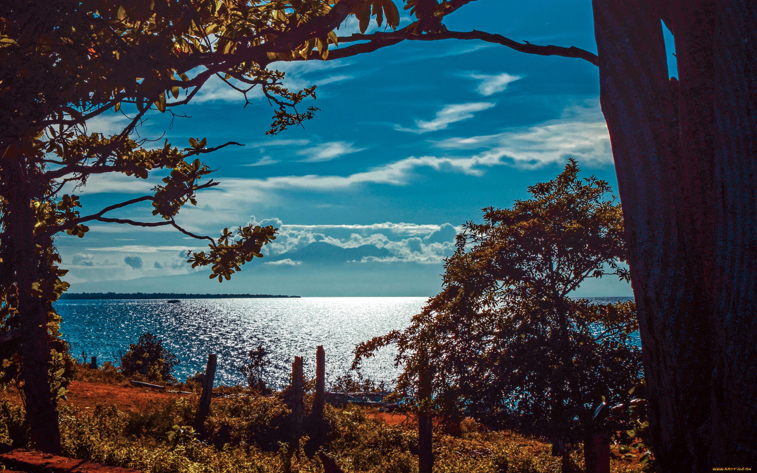 природа, реки, озера, лето, река, деревья