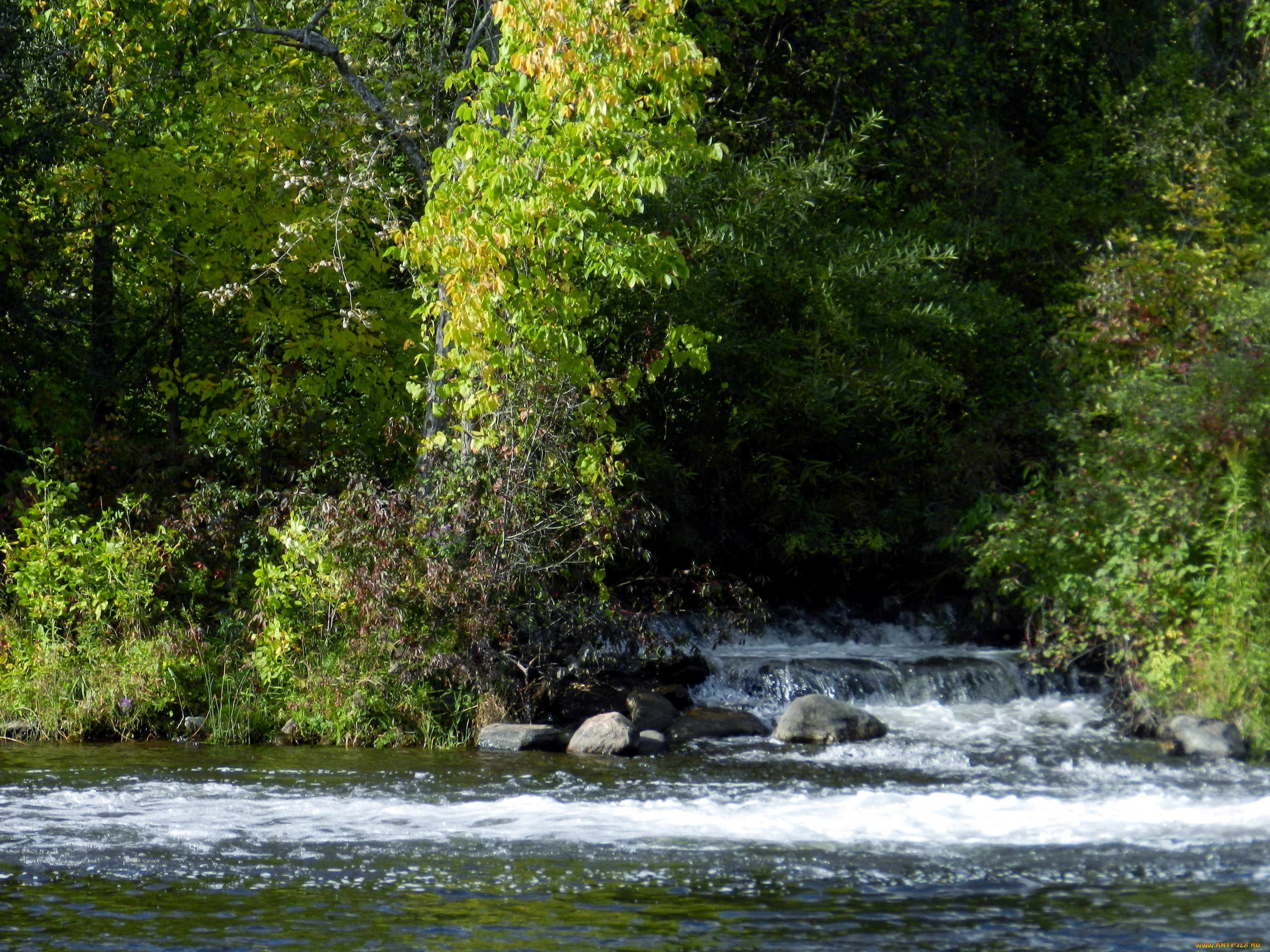 природа, реки, озера, вода, камни