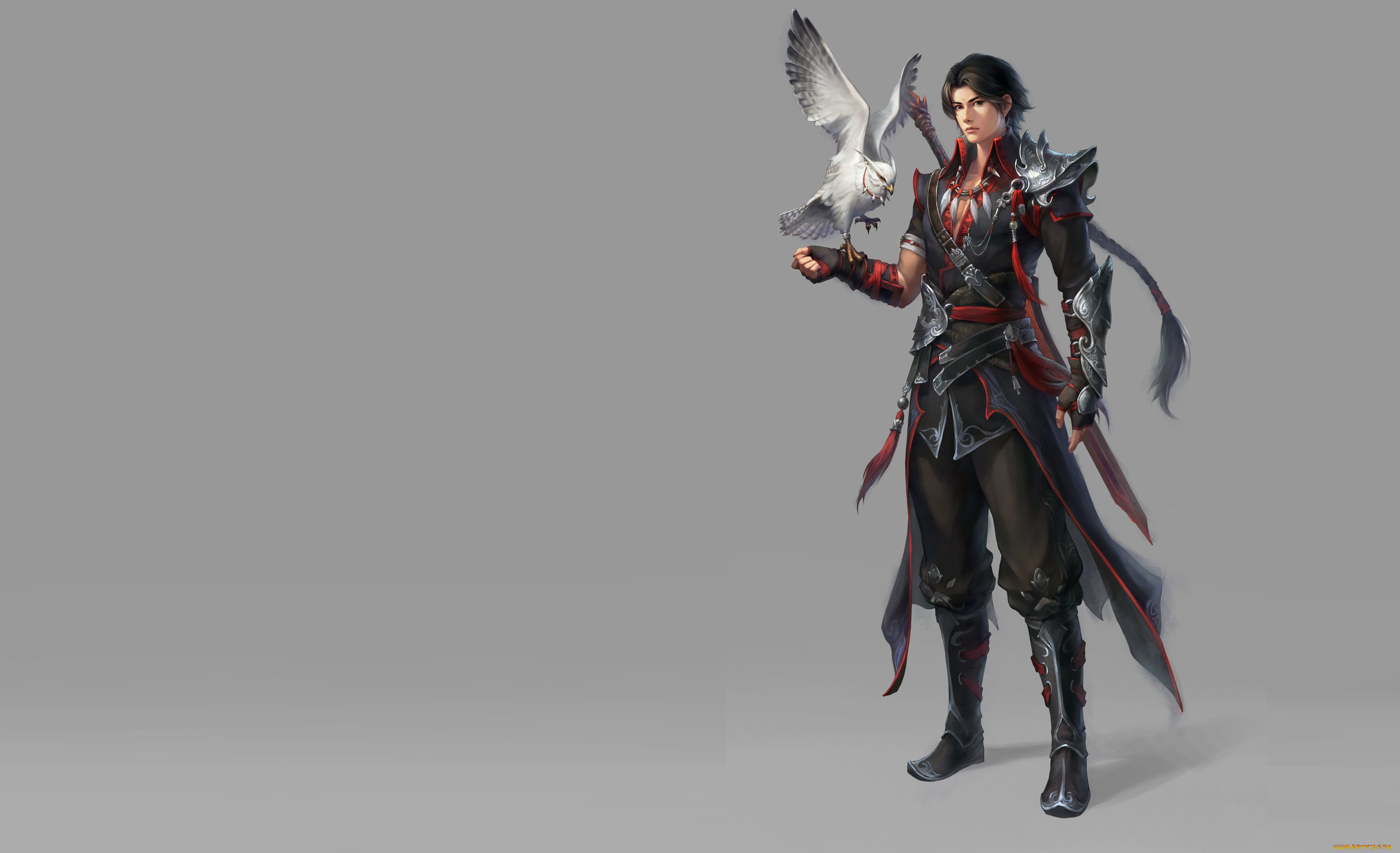 фэнтези, люди, пет, fantasy, птица, помощник, geme