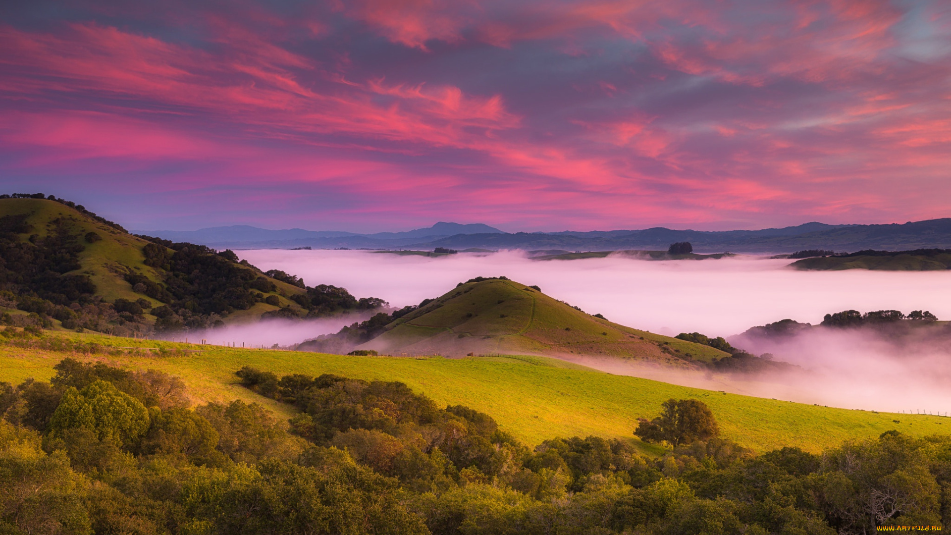 природа, пейзажи, лес, небо, трава, облака, деревья, горы, туман, рассвет, поля, калифорния, сша, луга