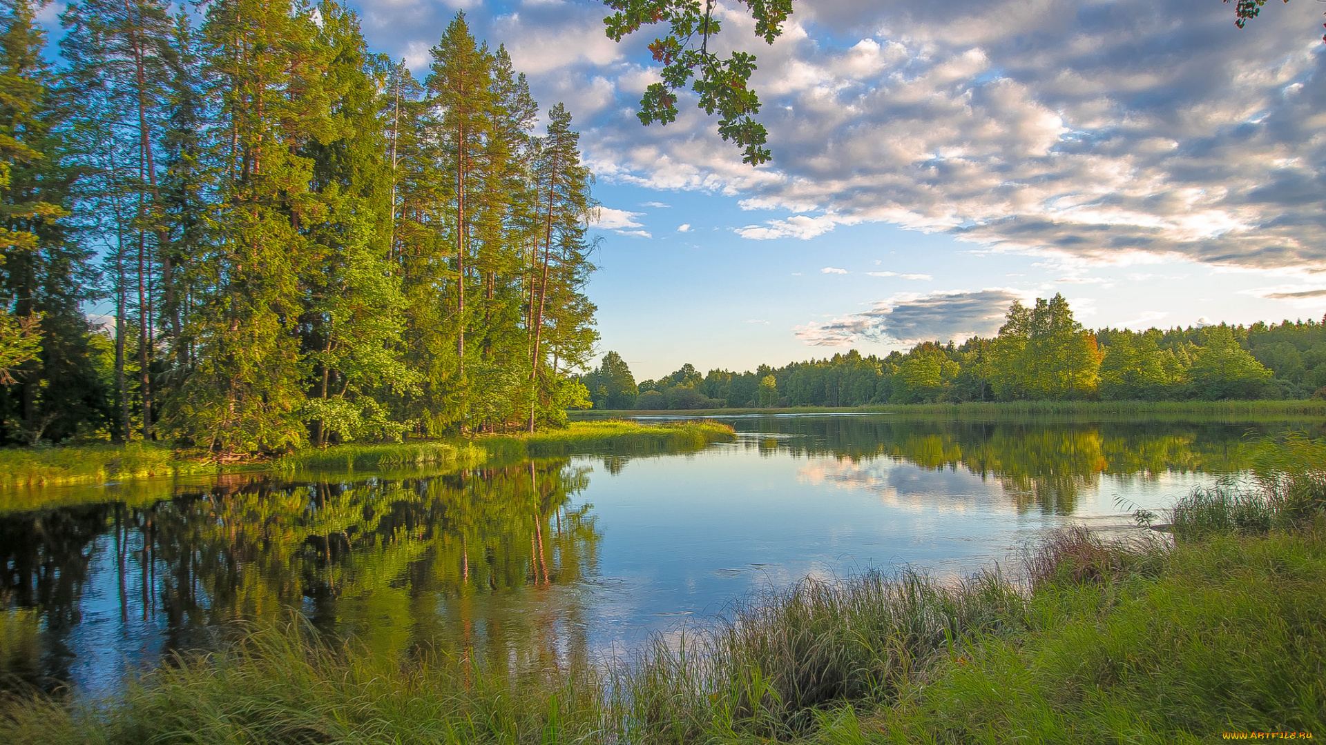 природа, реки, озера, простор