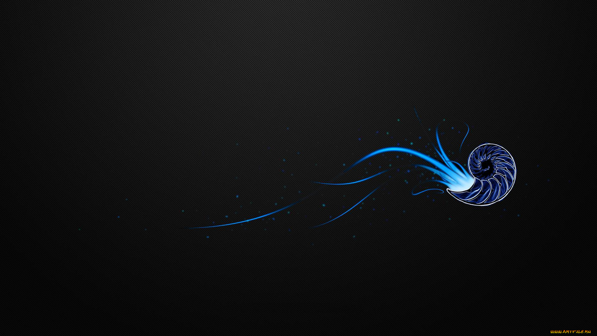 рисованное, минимализм, раковина, моллюск