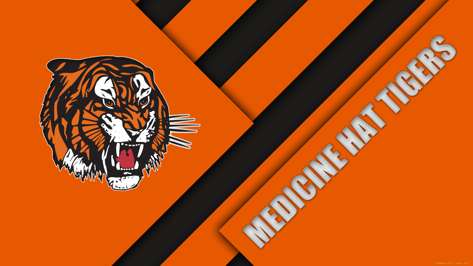 спорт, эмблемы, клубов, линии, полосы, цвет, фон, логотип