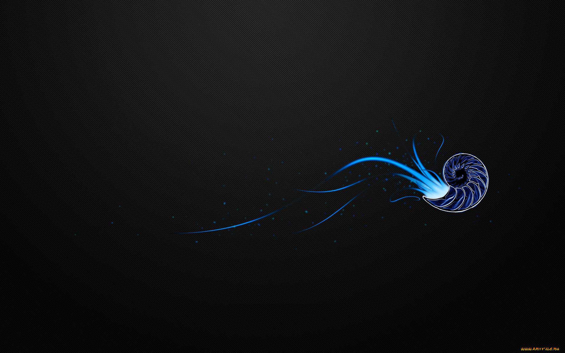 рисованное, минимализм, раковина, моллюск