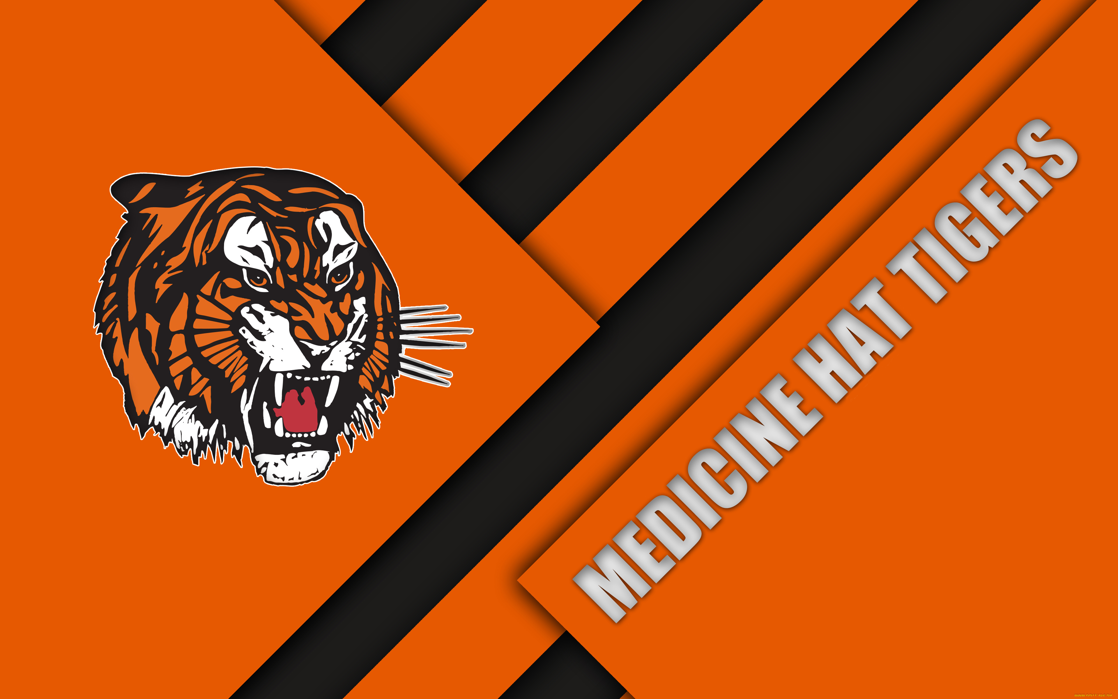 спорт, эмблемы, клубов, линии, полосы, цвет, фон, логотип