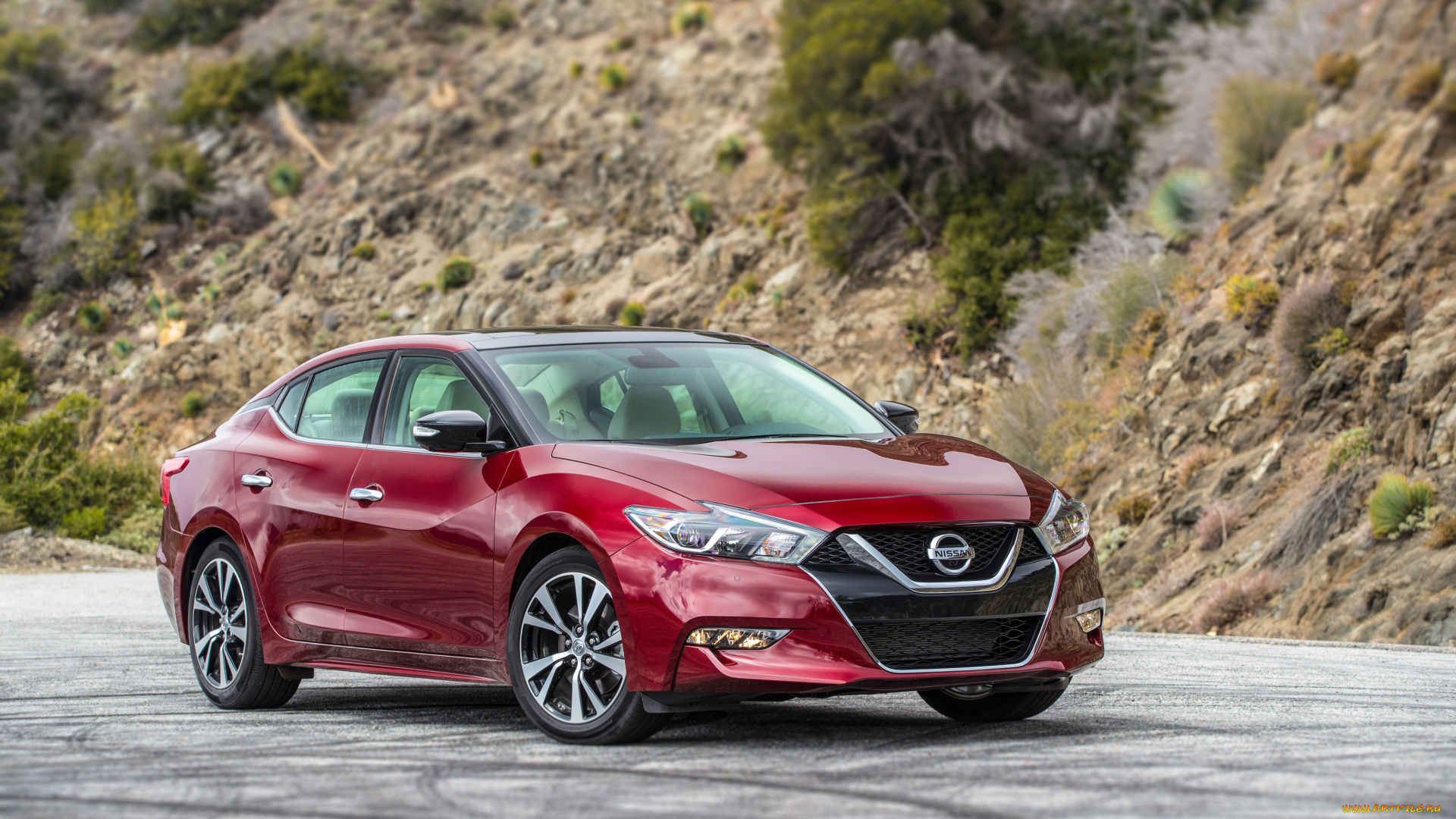 автомобили, nissan, datsun