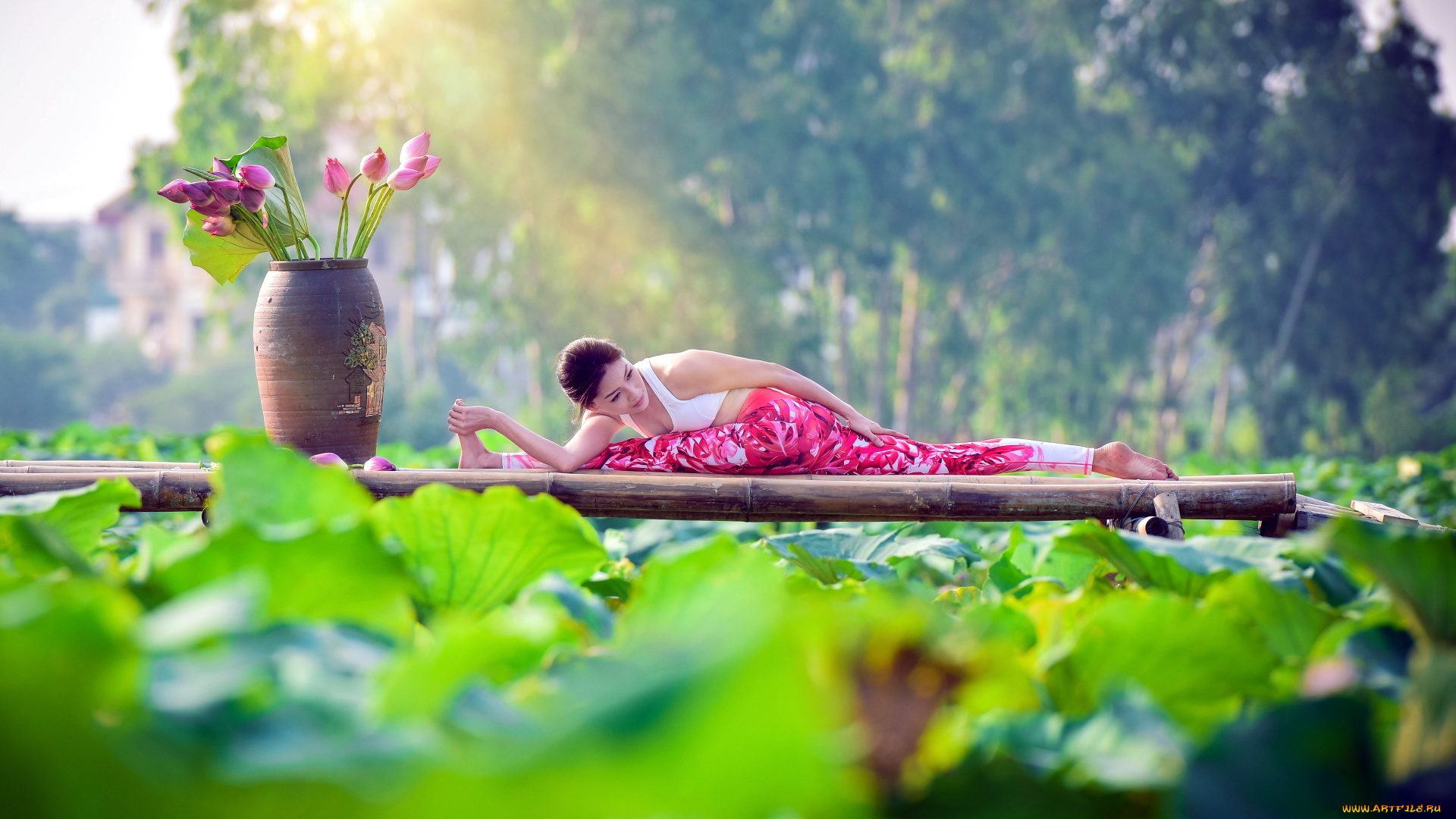 девушки, -, азиатки, лотосы