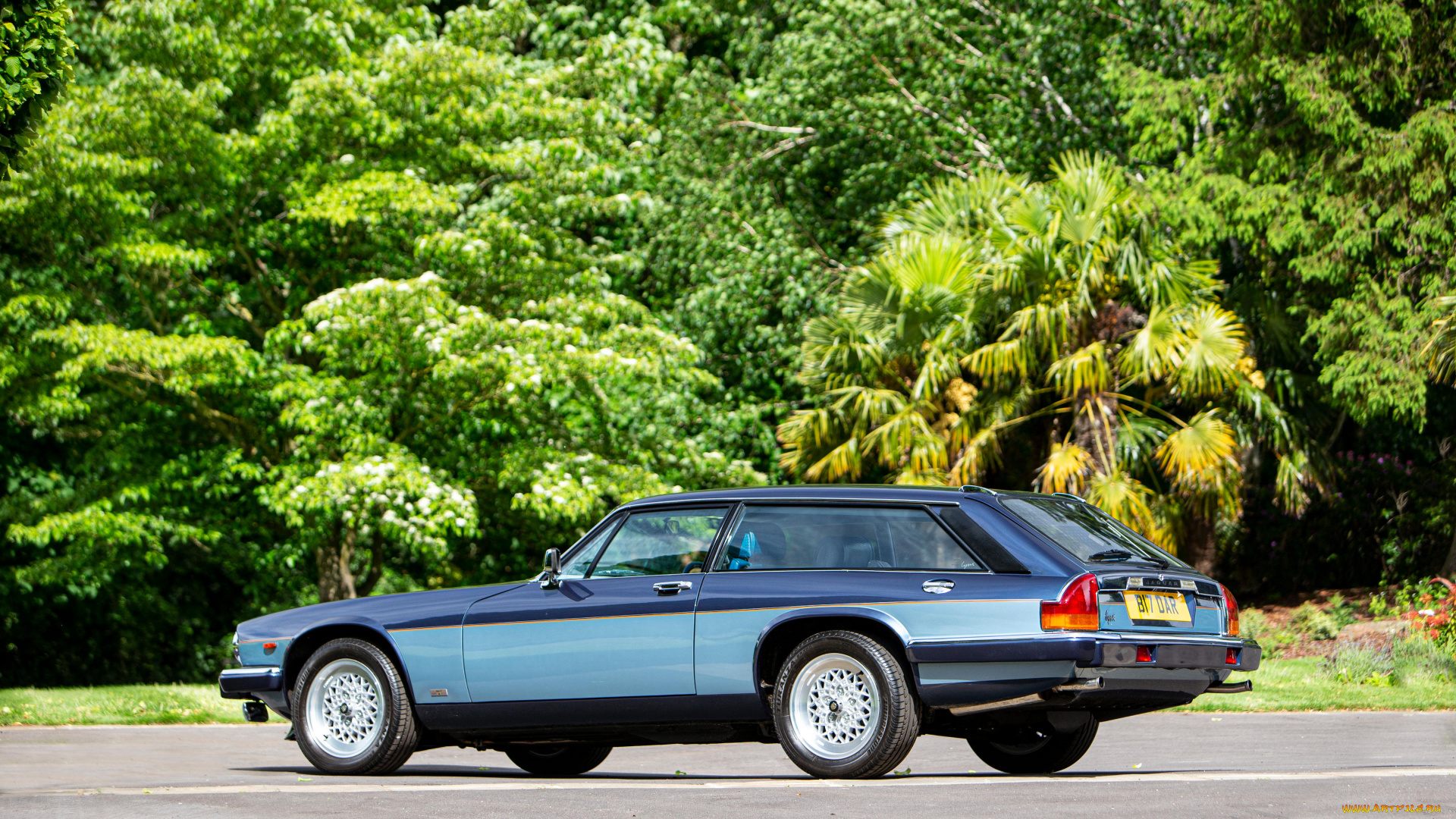 автомобили, jaguar, lynx