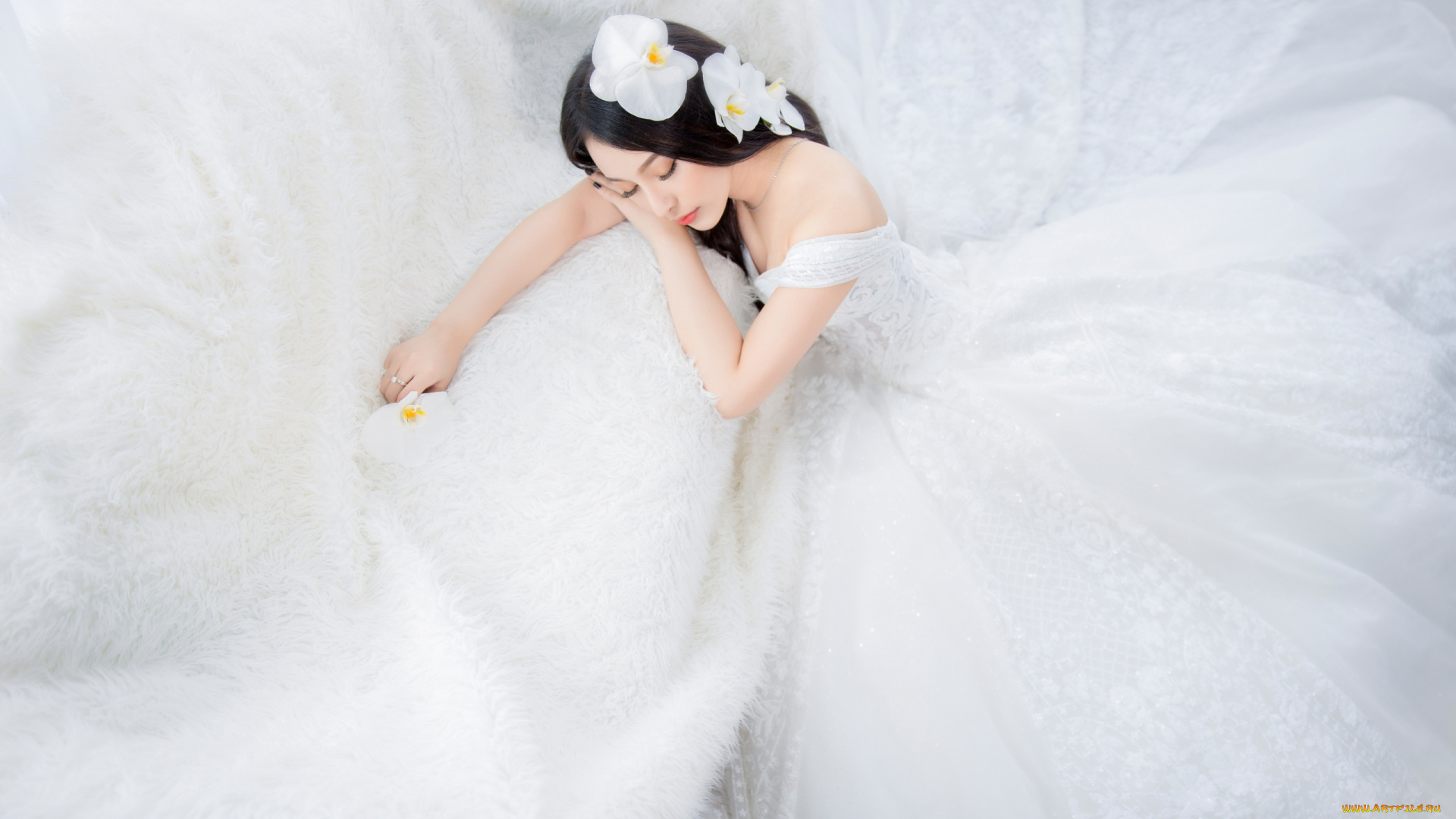 девушки, -, азиатки, азиатка, невеста, платье, орхидеи