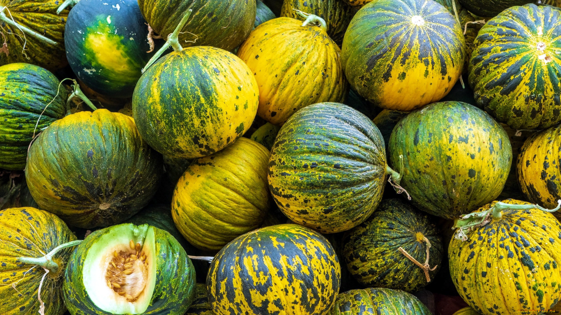 еда, дыня, урожай, дыни, много