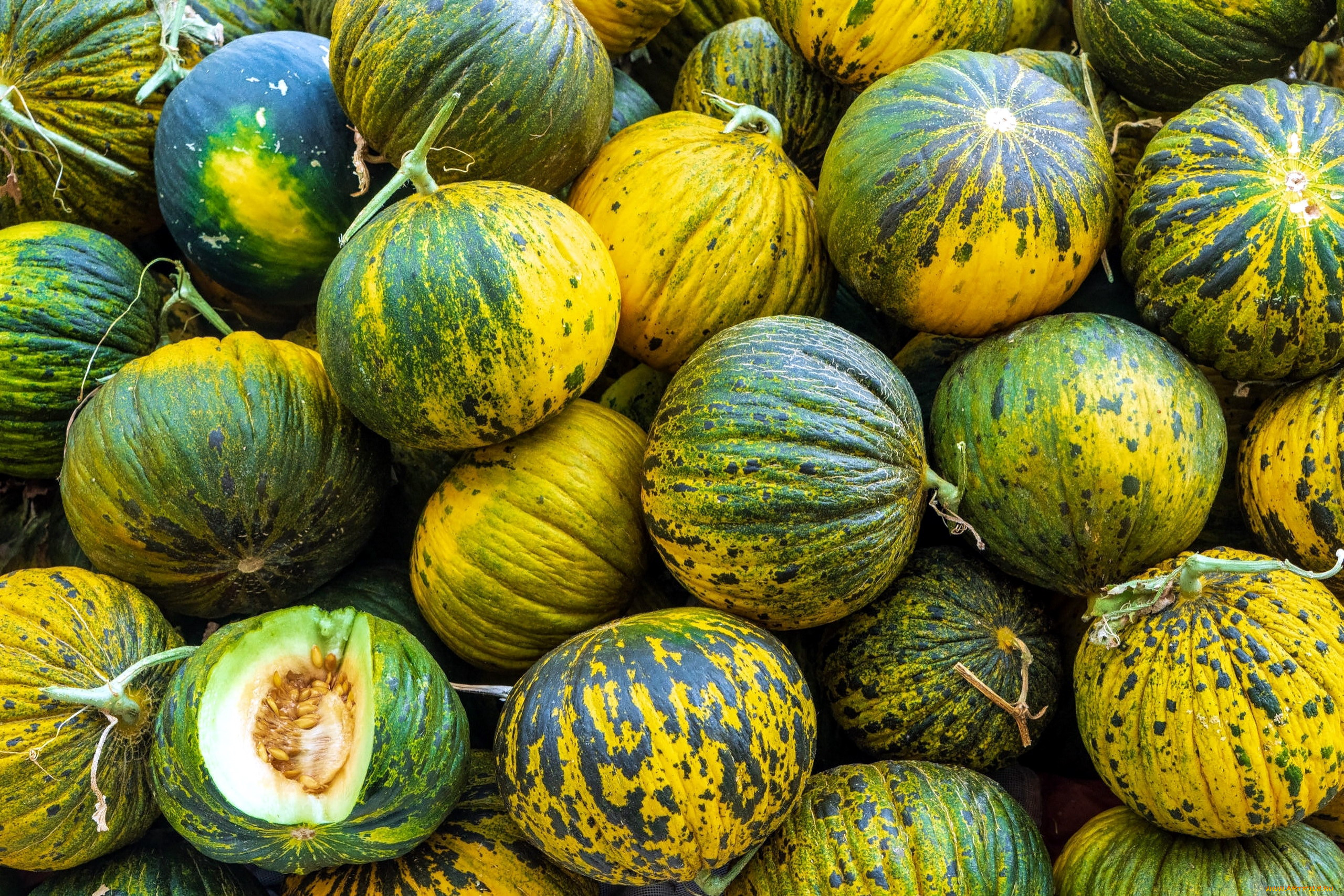 еда, дыня, урожай, дыни, много